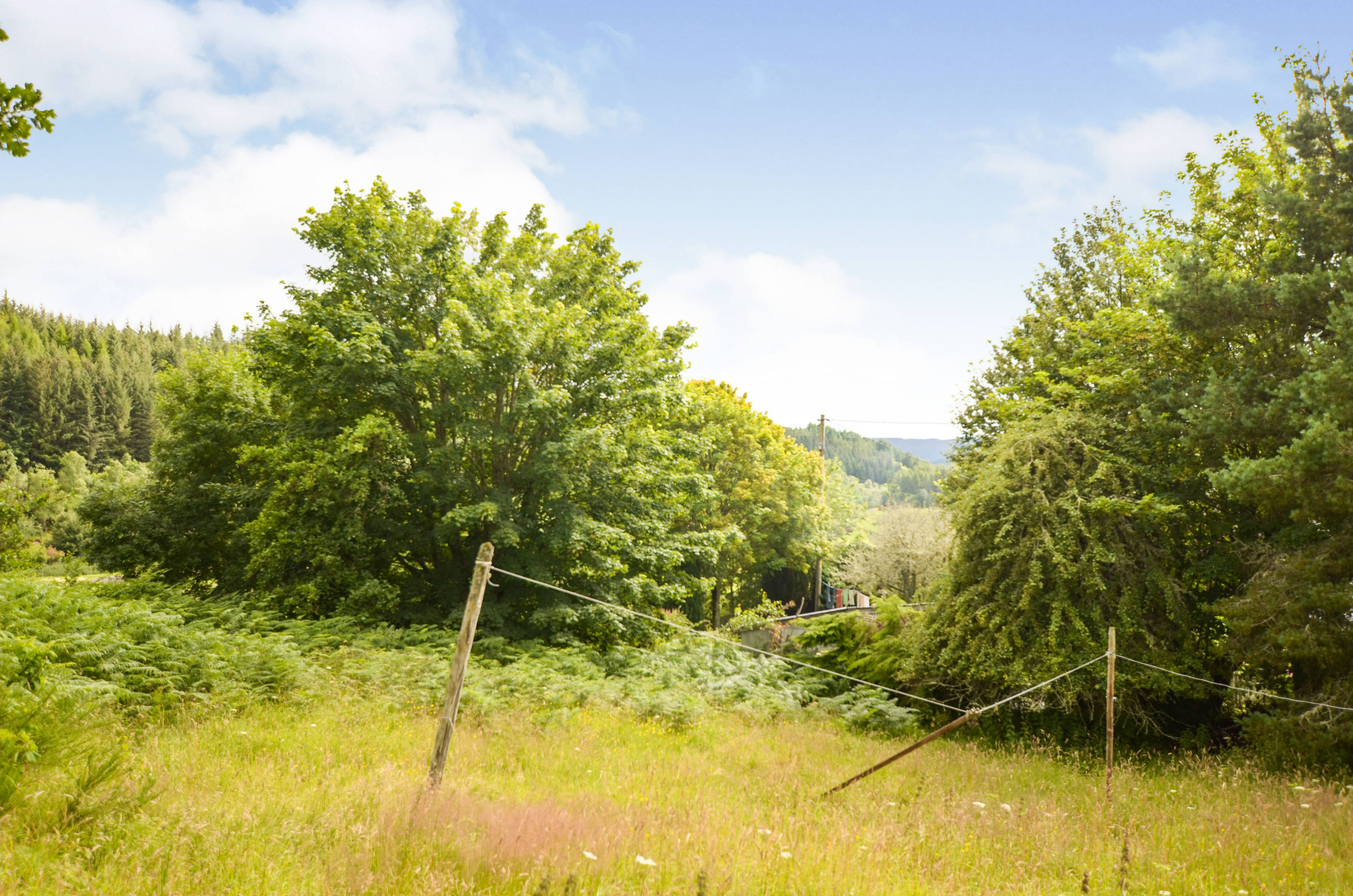 Surrounding Area