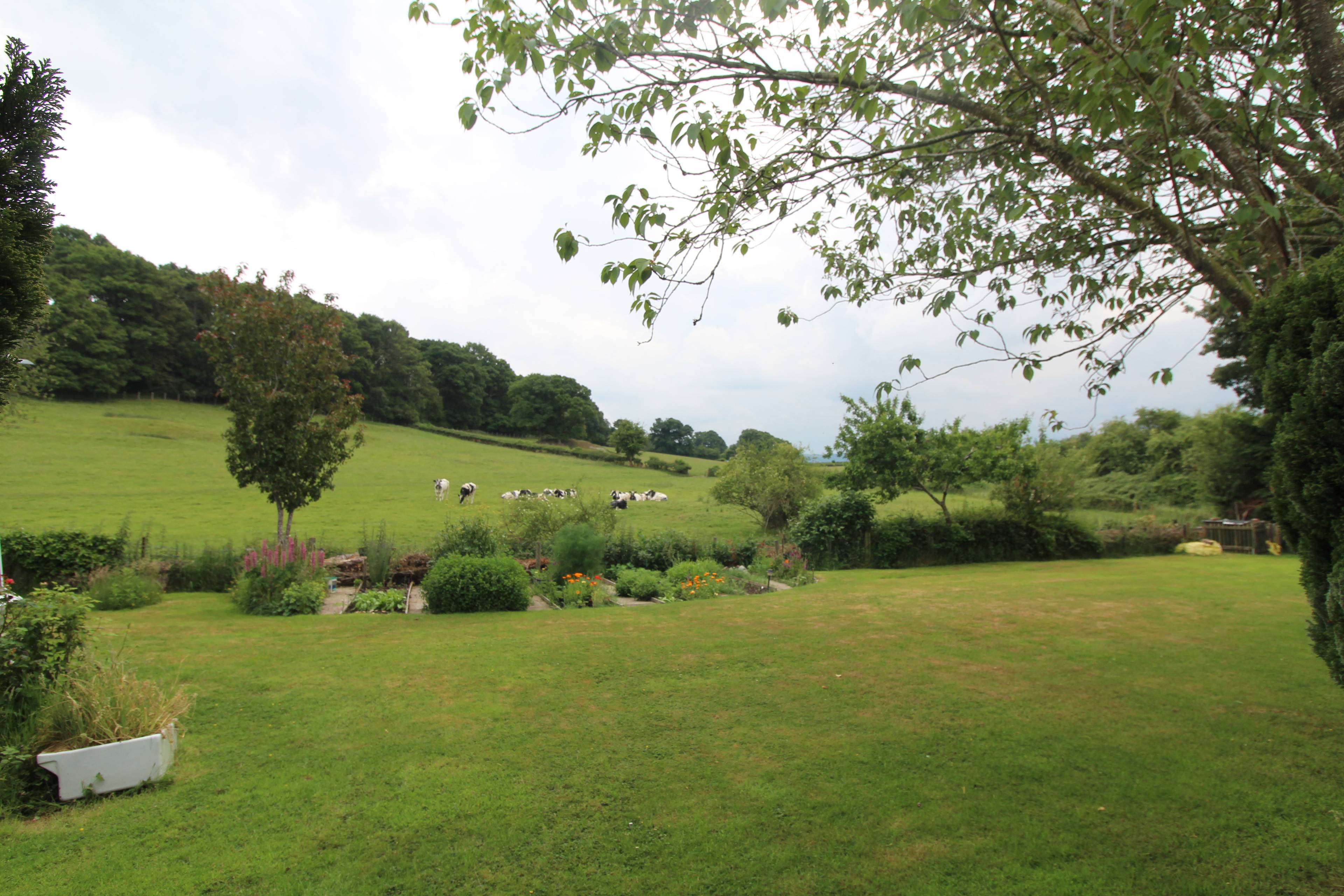 Side Garden
