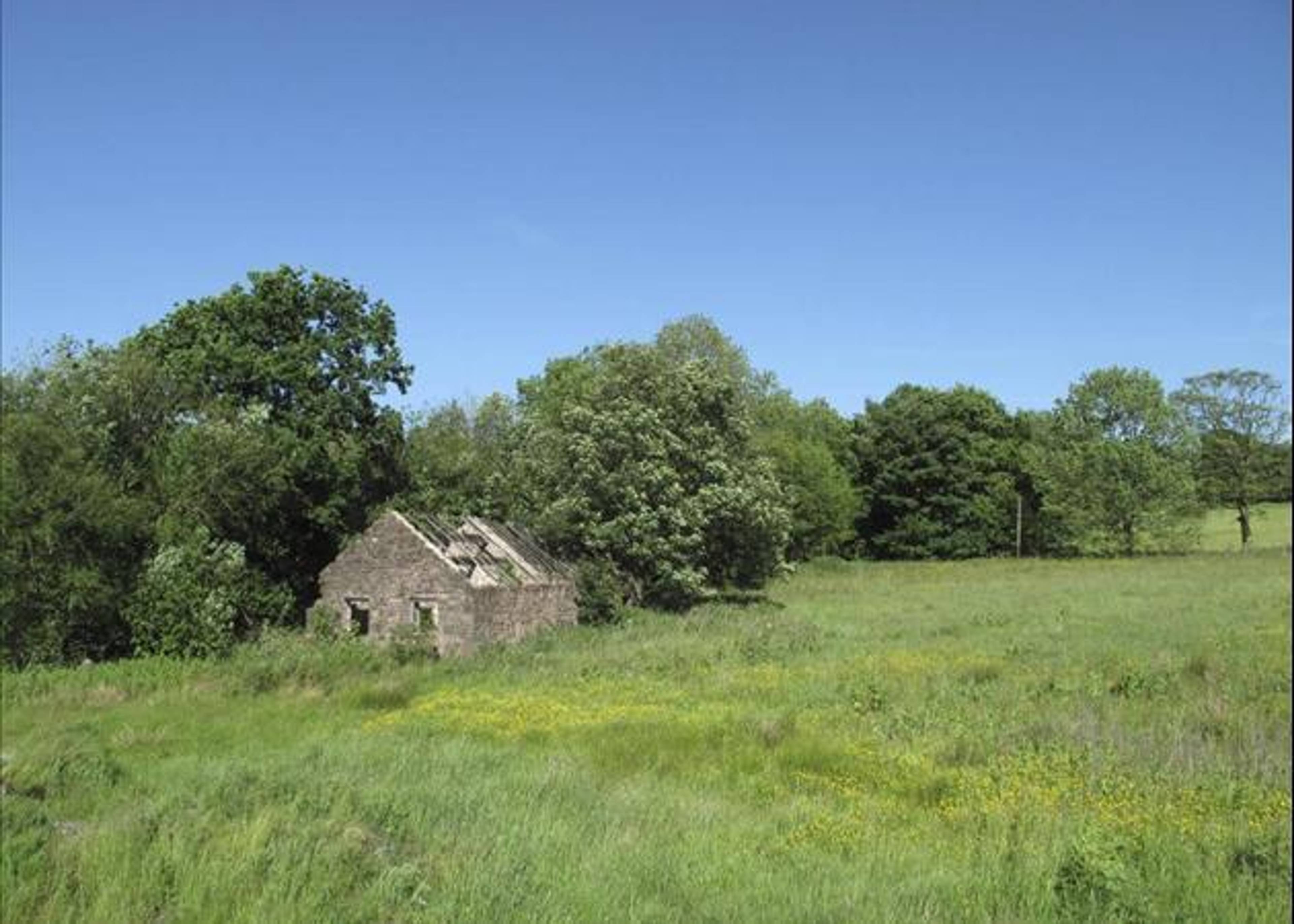 Grounds
