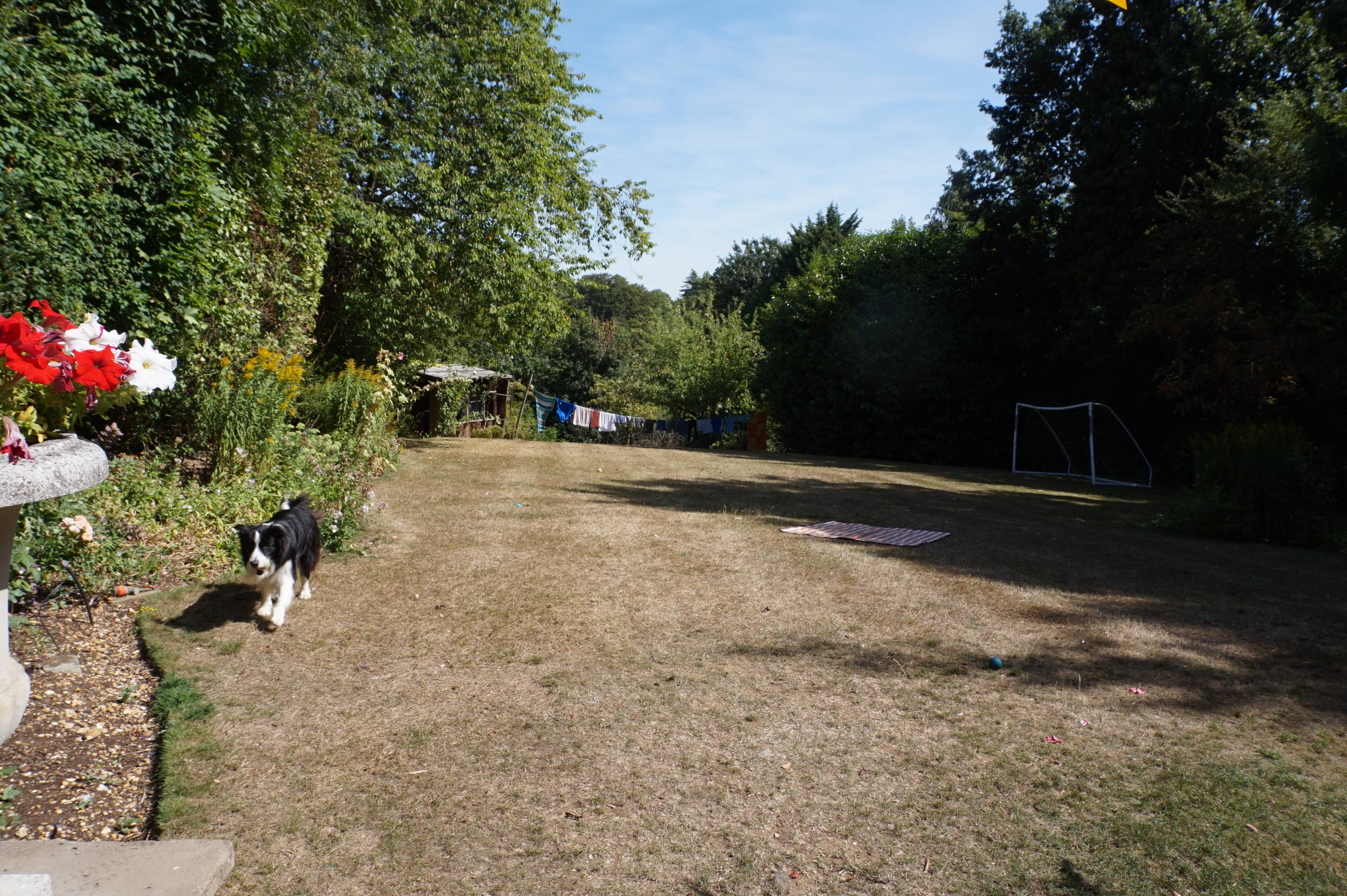 garden