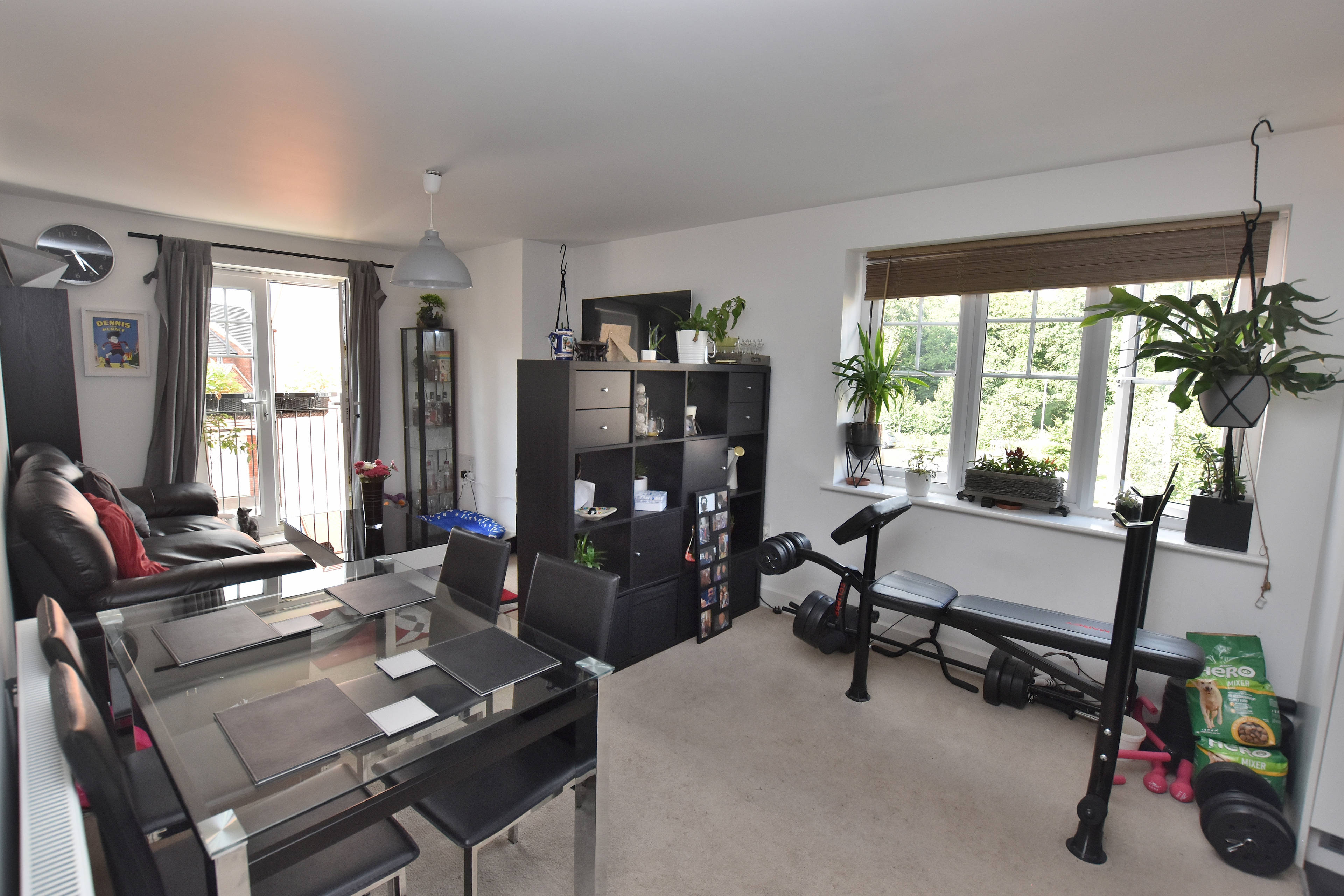 Lounge/Dining Room