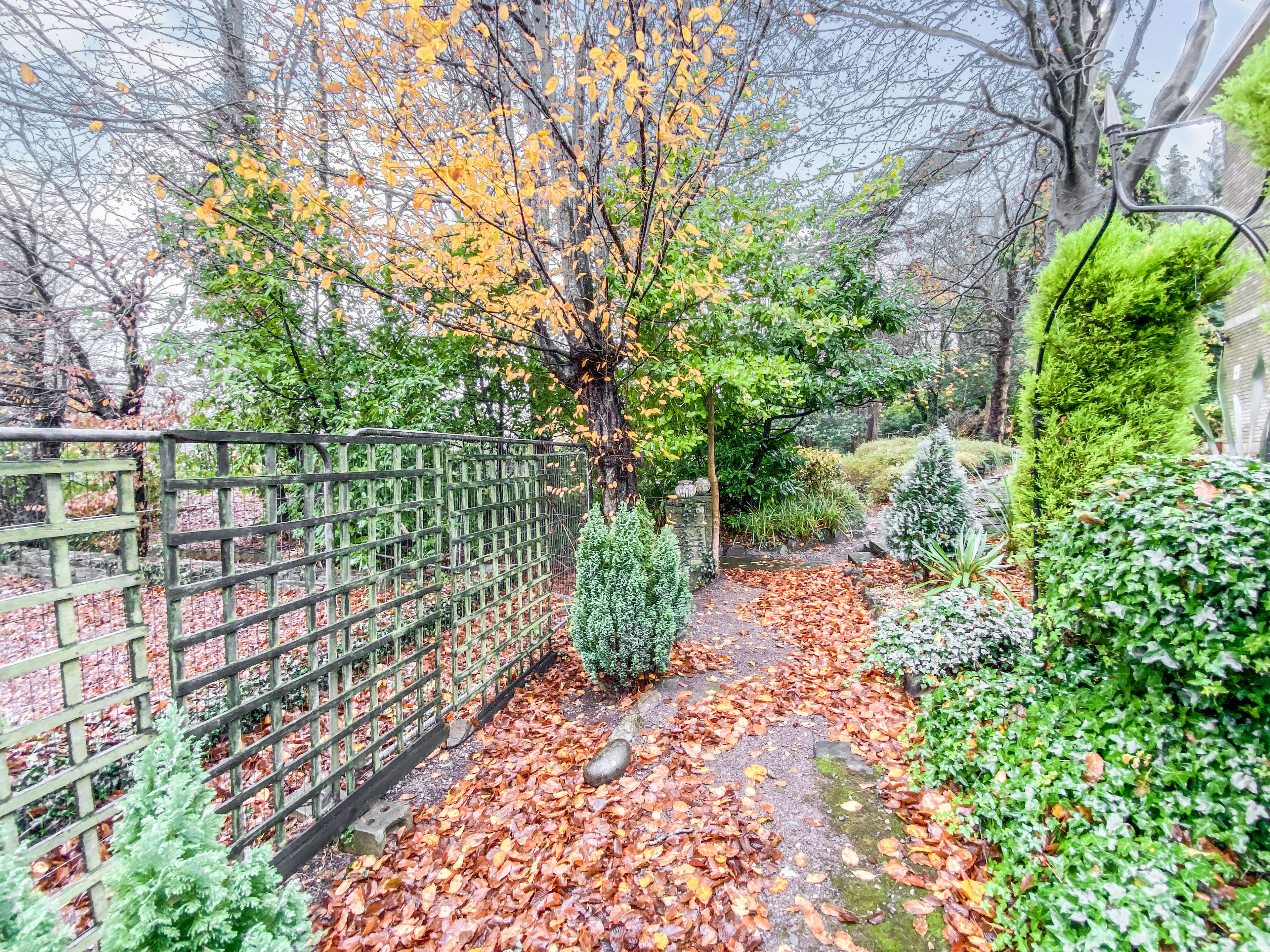 Communal Gardens