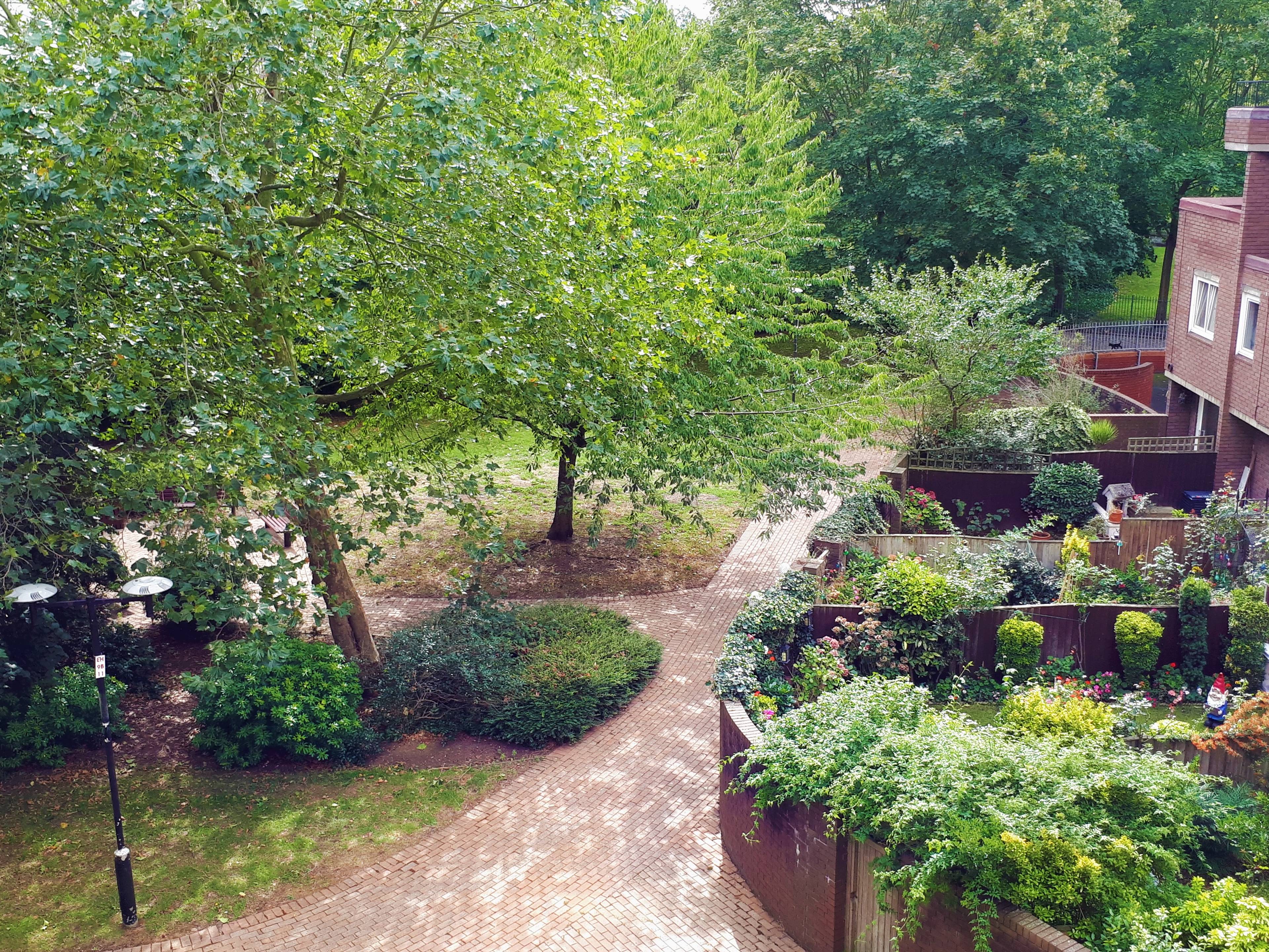 Communal Gardens