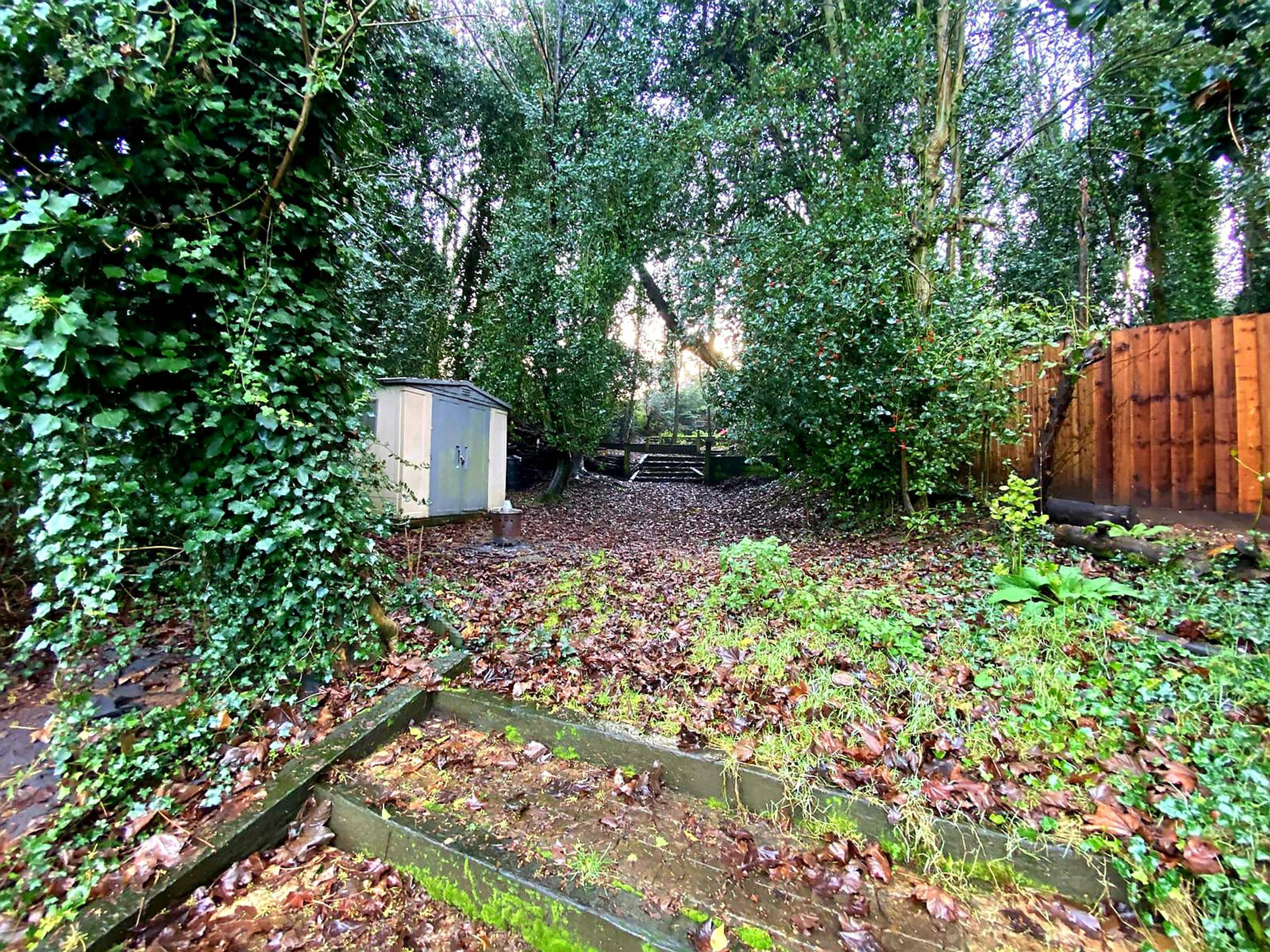 Woodland
