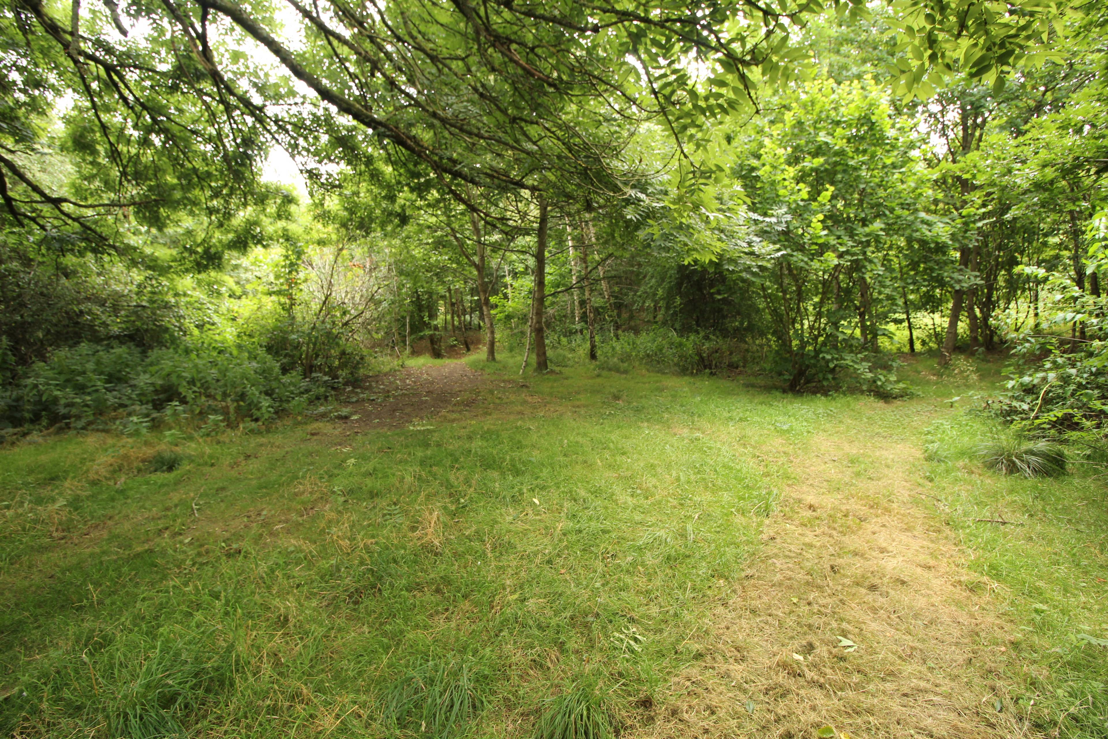 Grounds