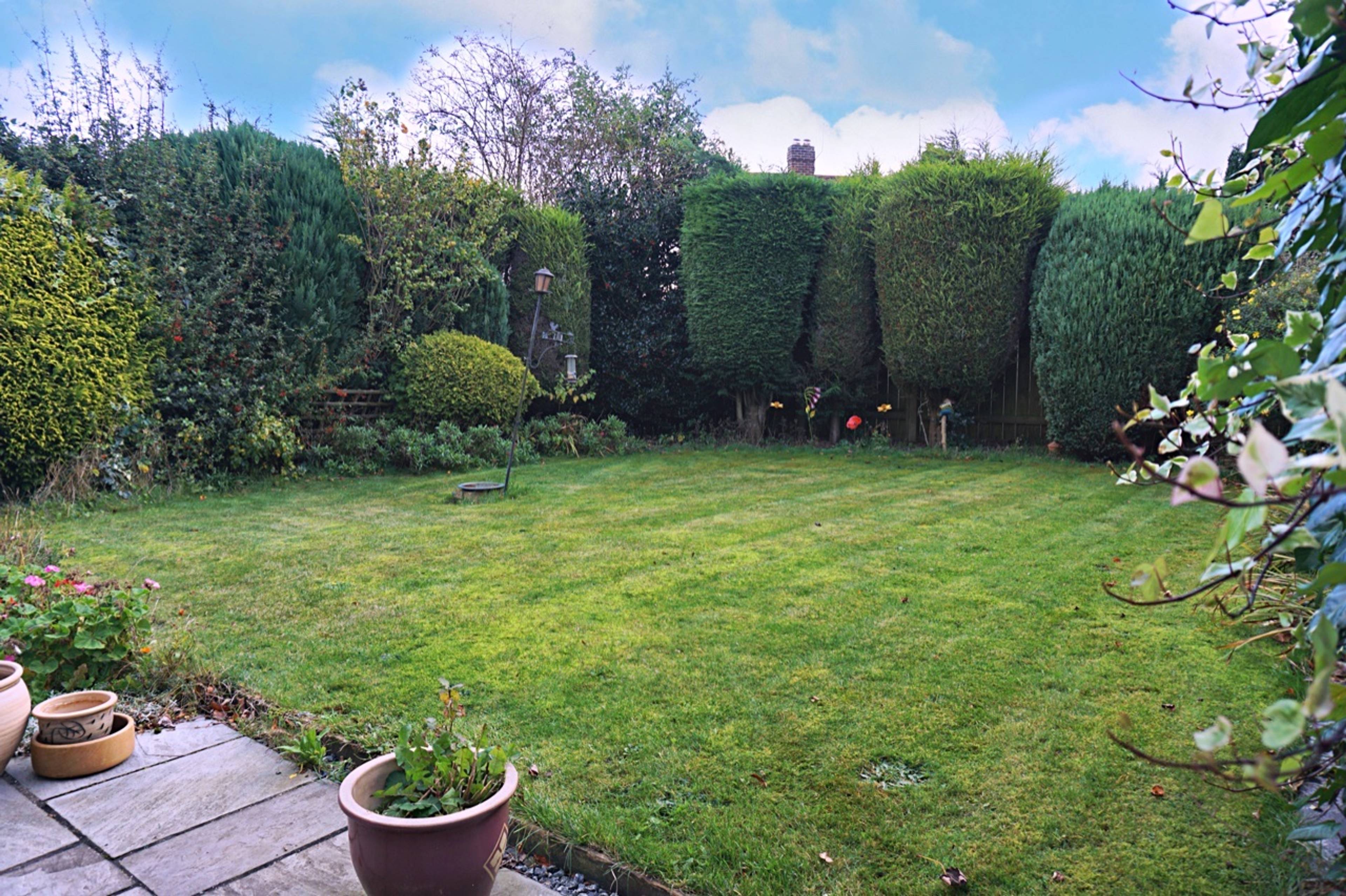 garden