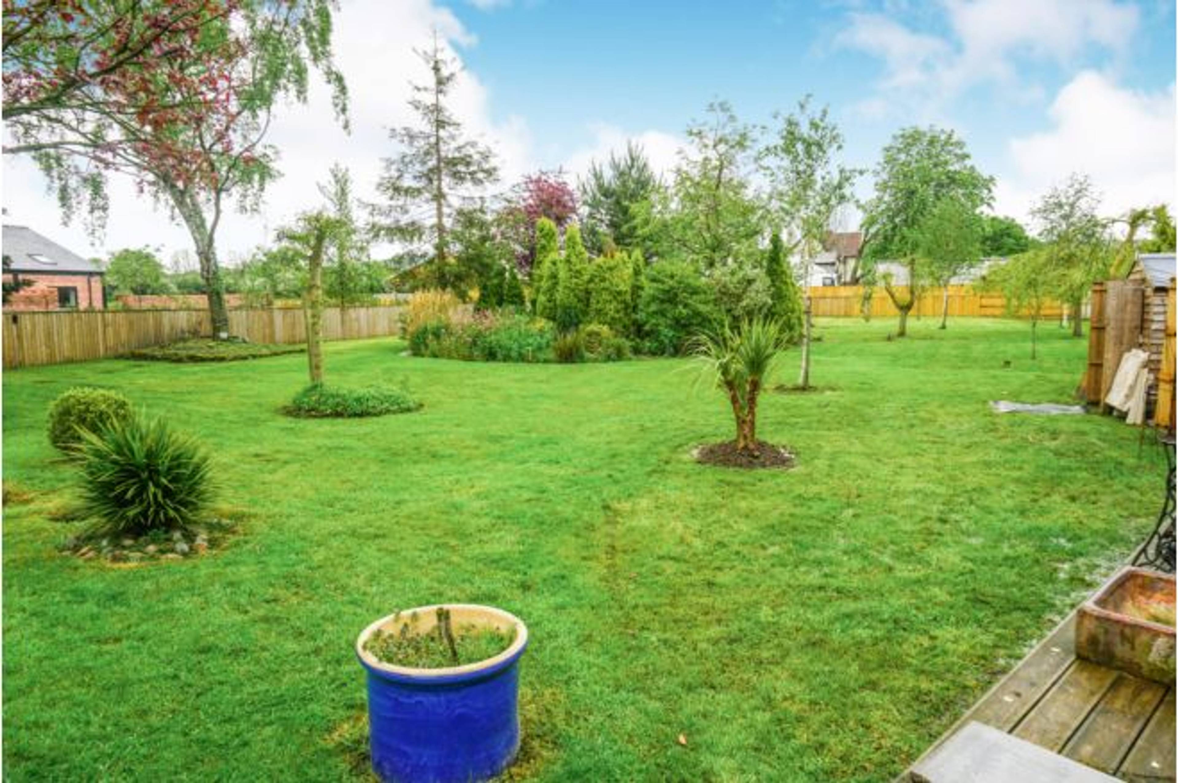 rear garden         