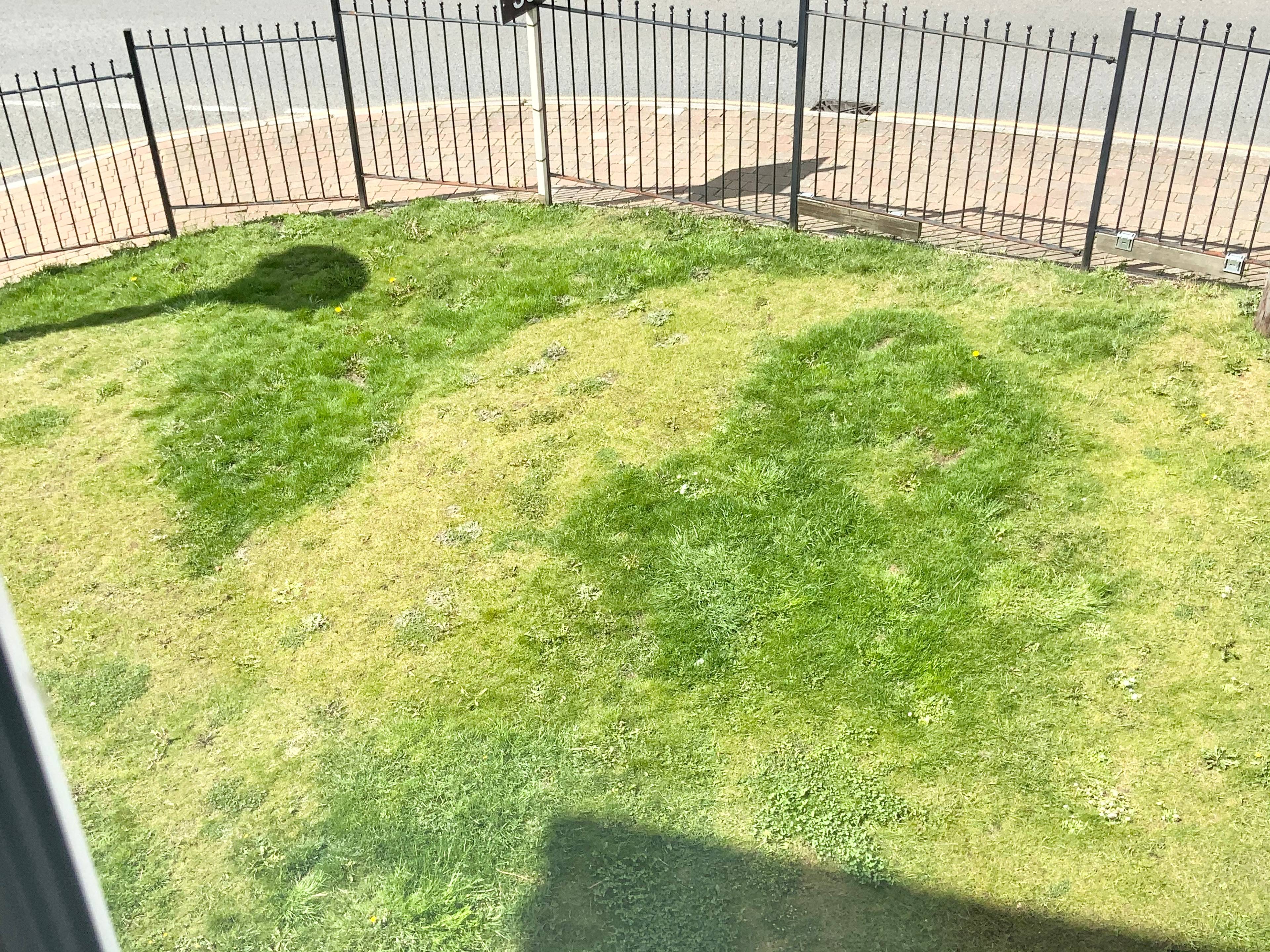 Communal Gardens