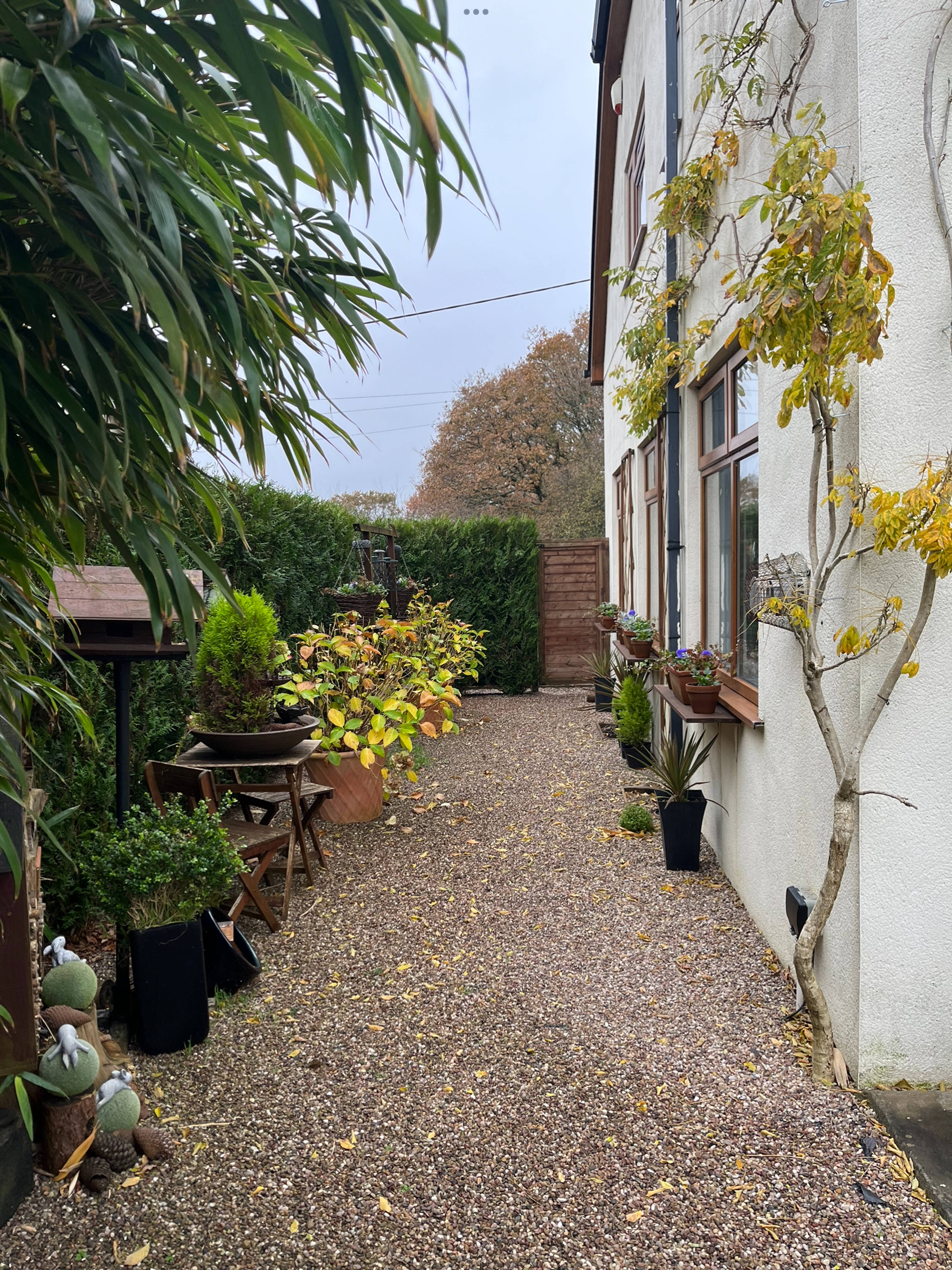 Side Garden