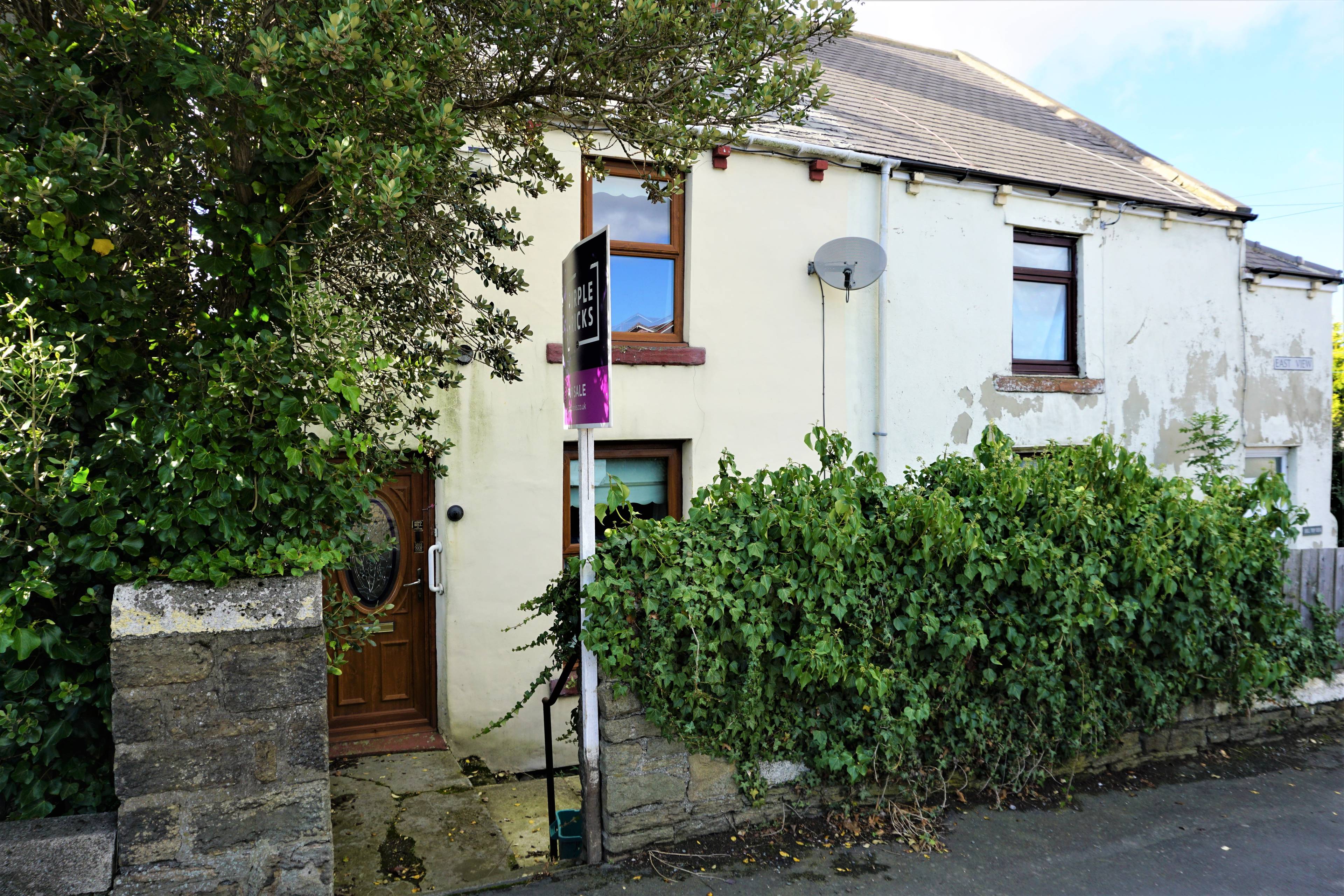 The Property