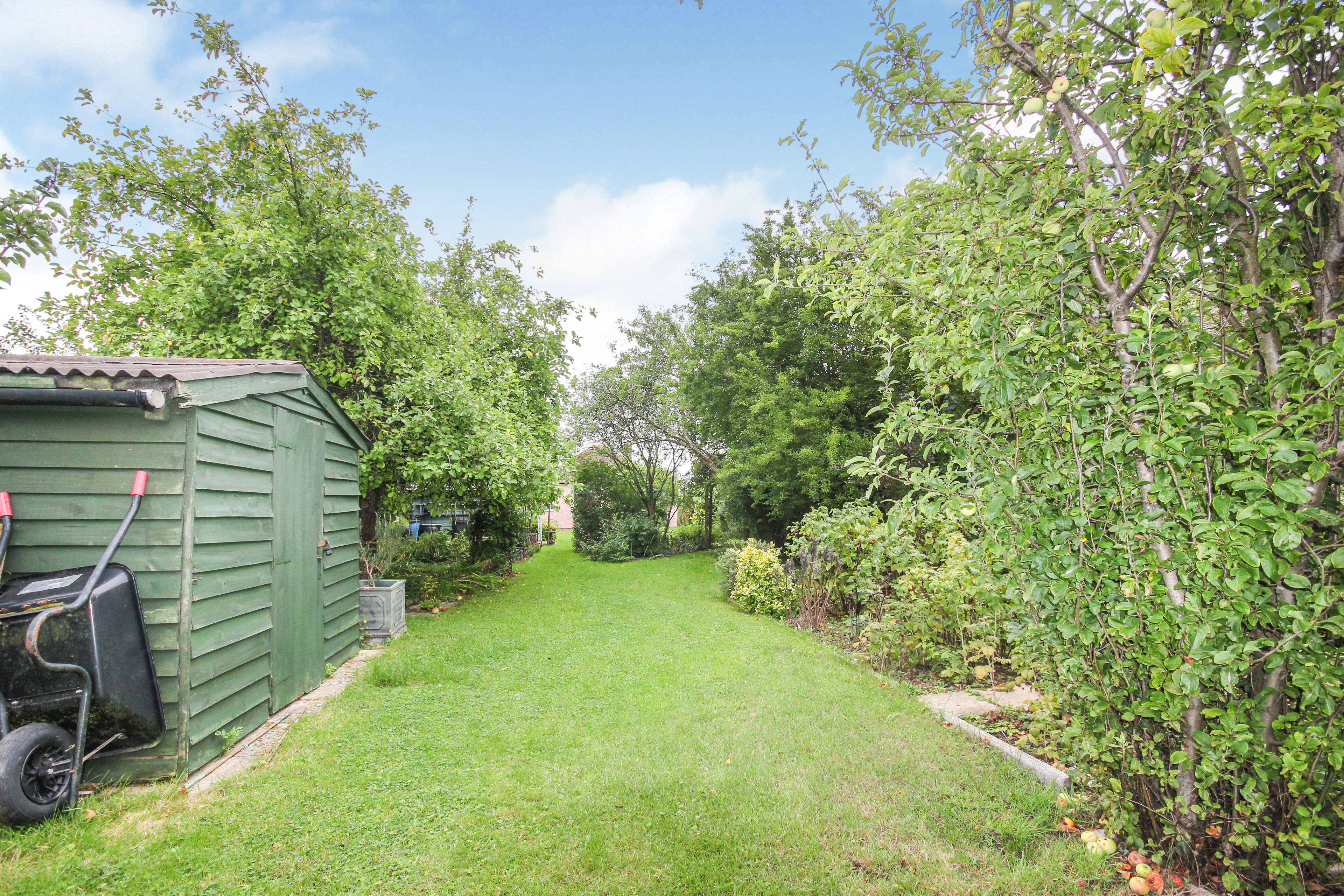 Large Garden