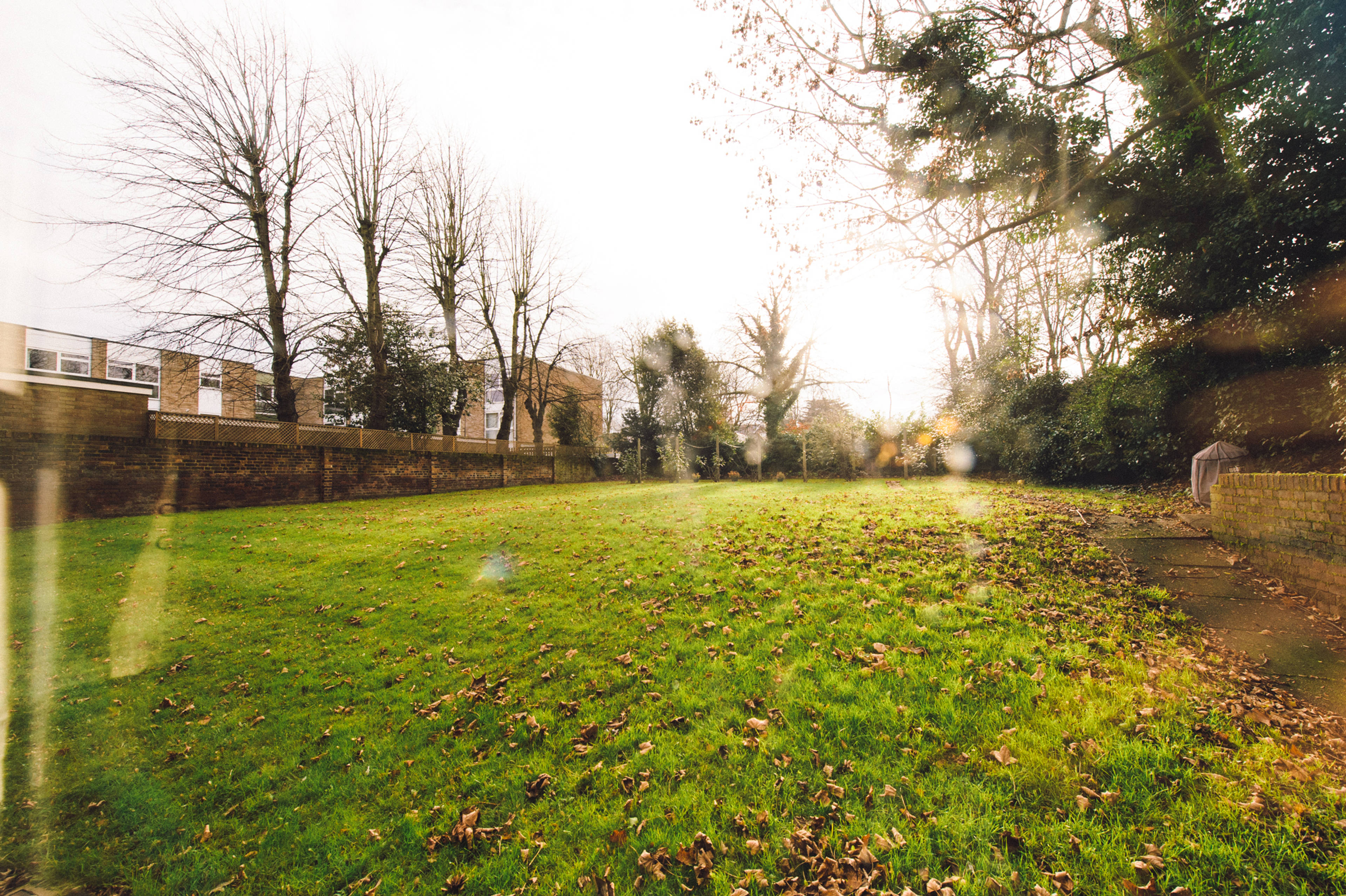 Communal Gardens