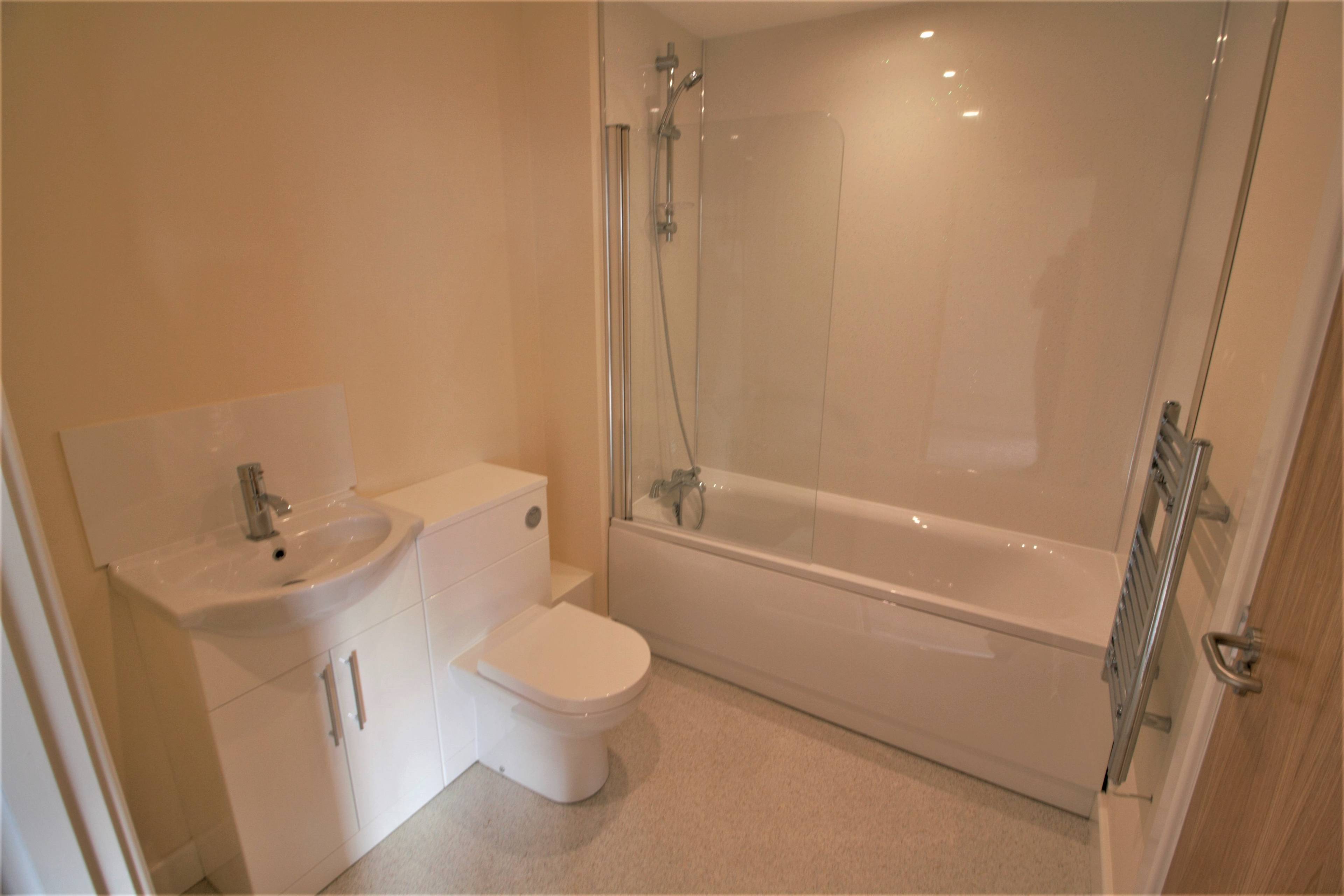 Jack & Jill Bathroom