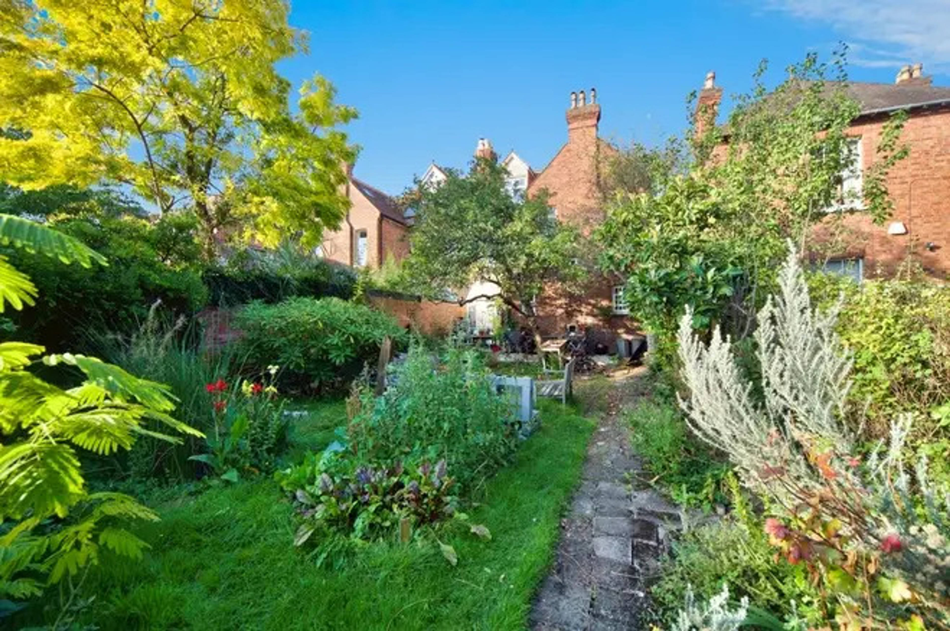 Garden