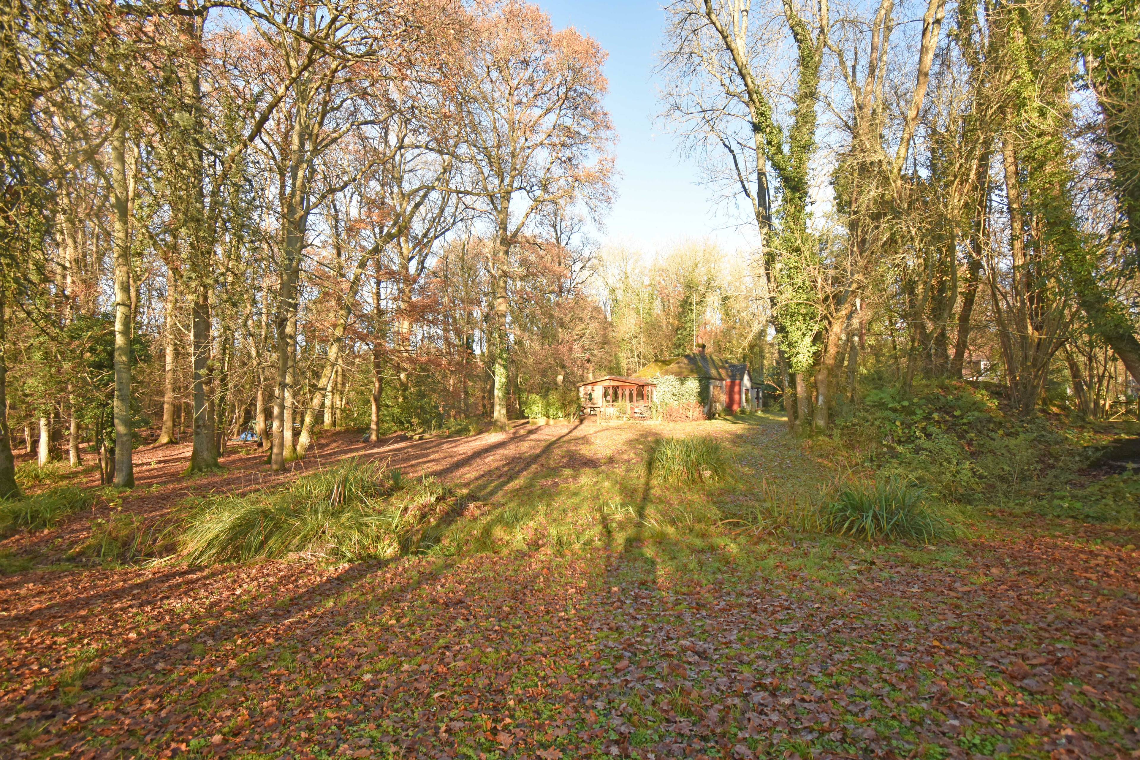 Grounds