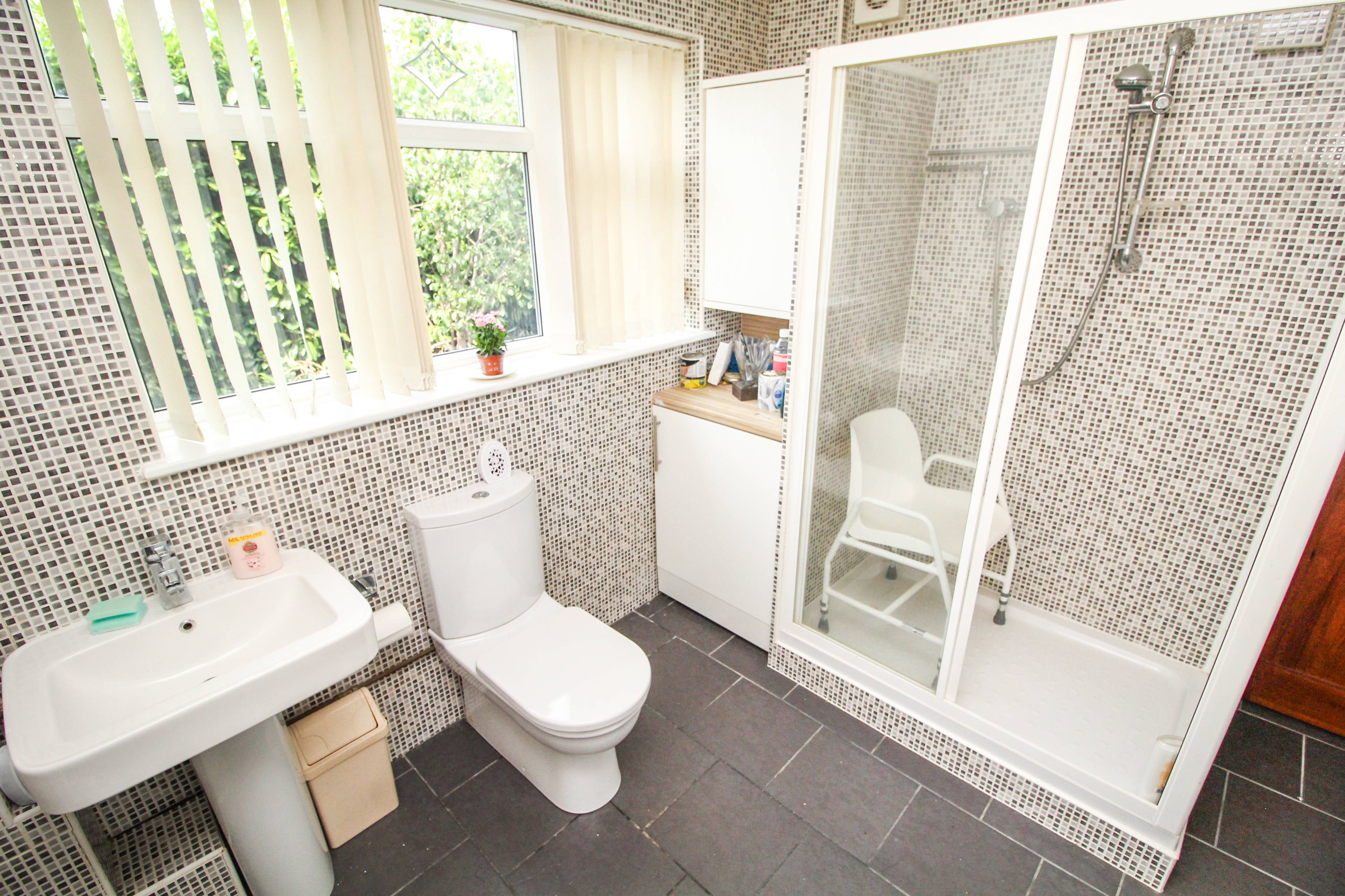 Downstairs Shower