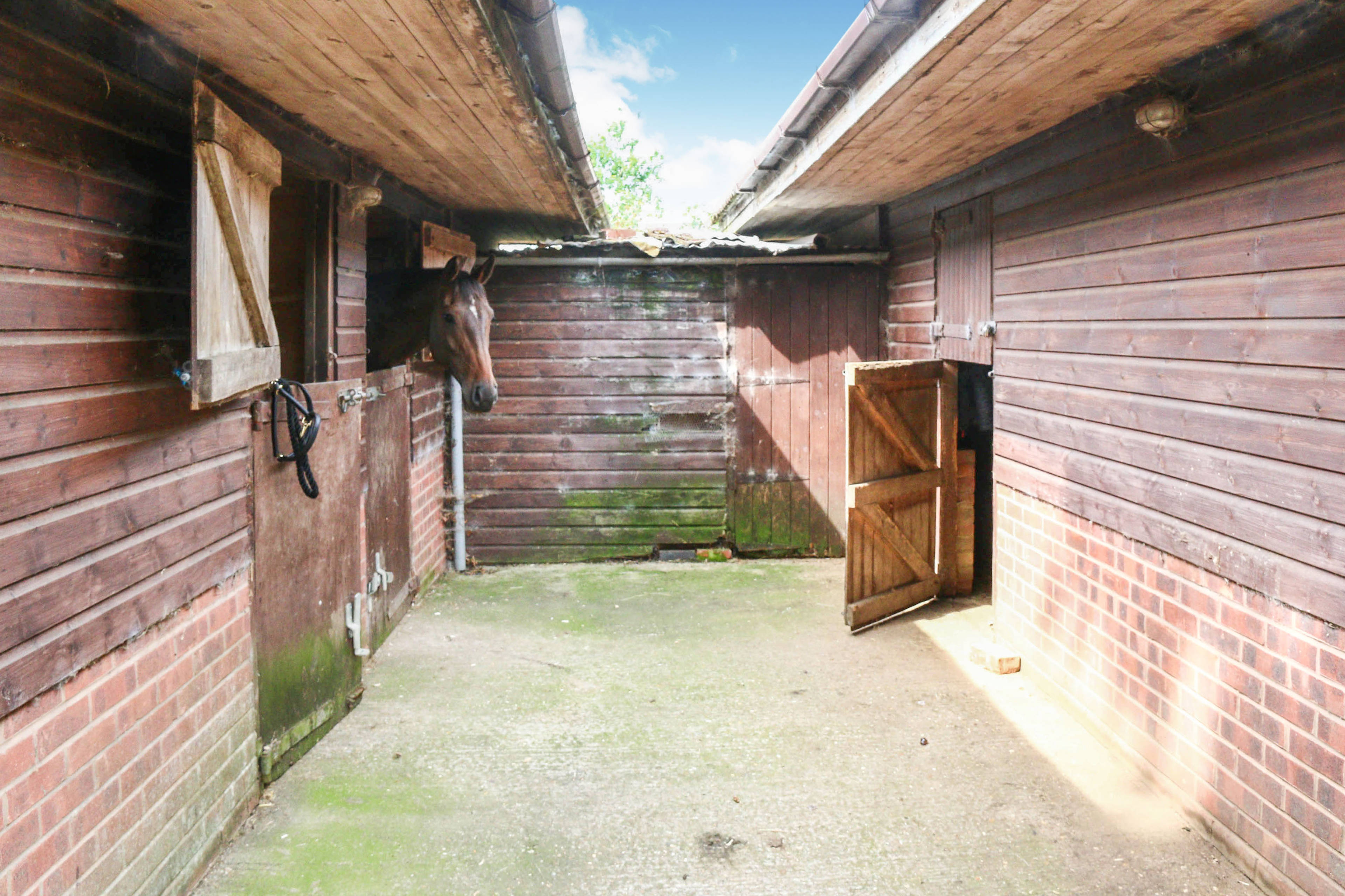Stables