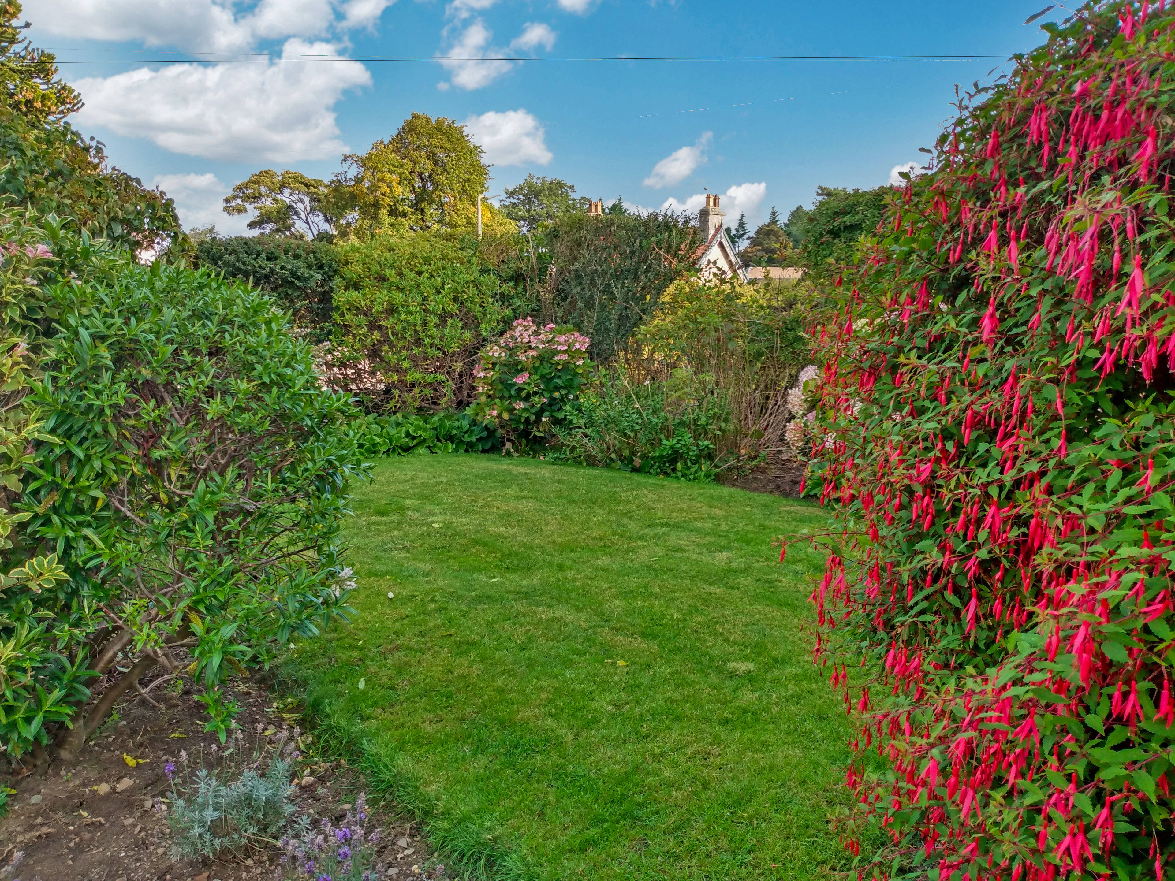 Front Garden