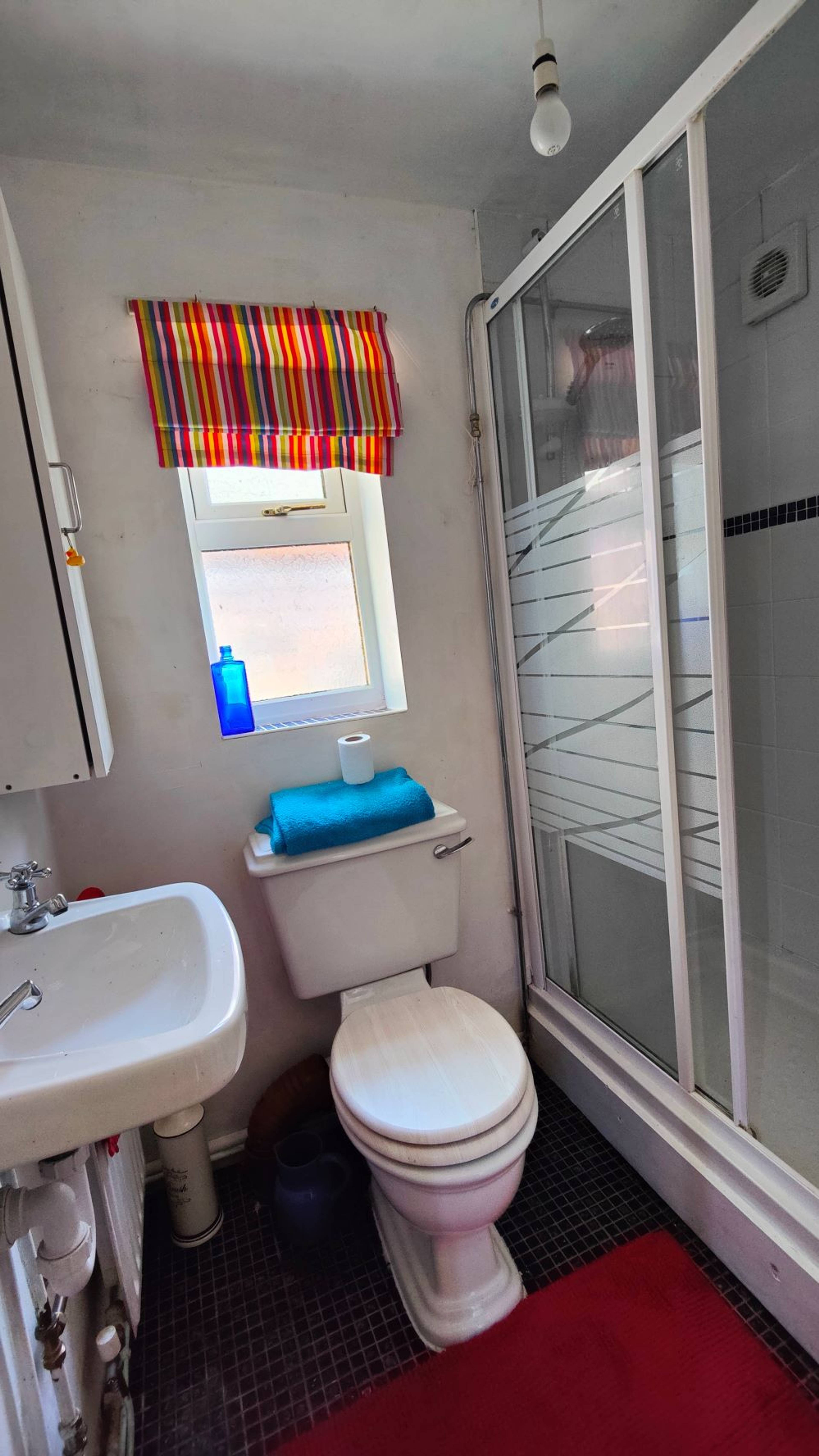 Annexe Shower Room