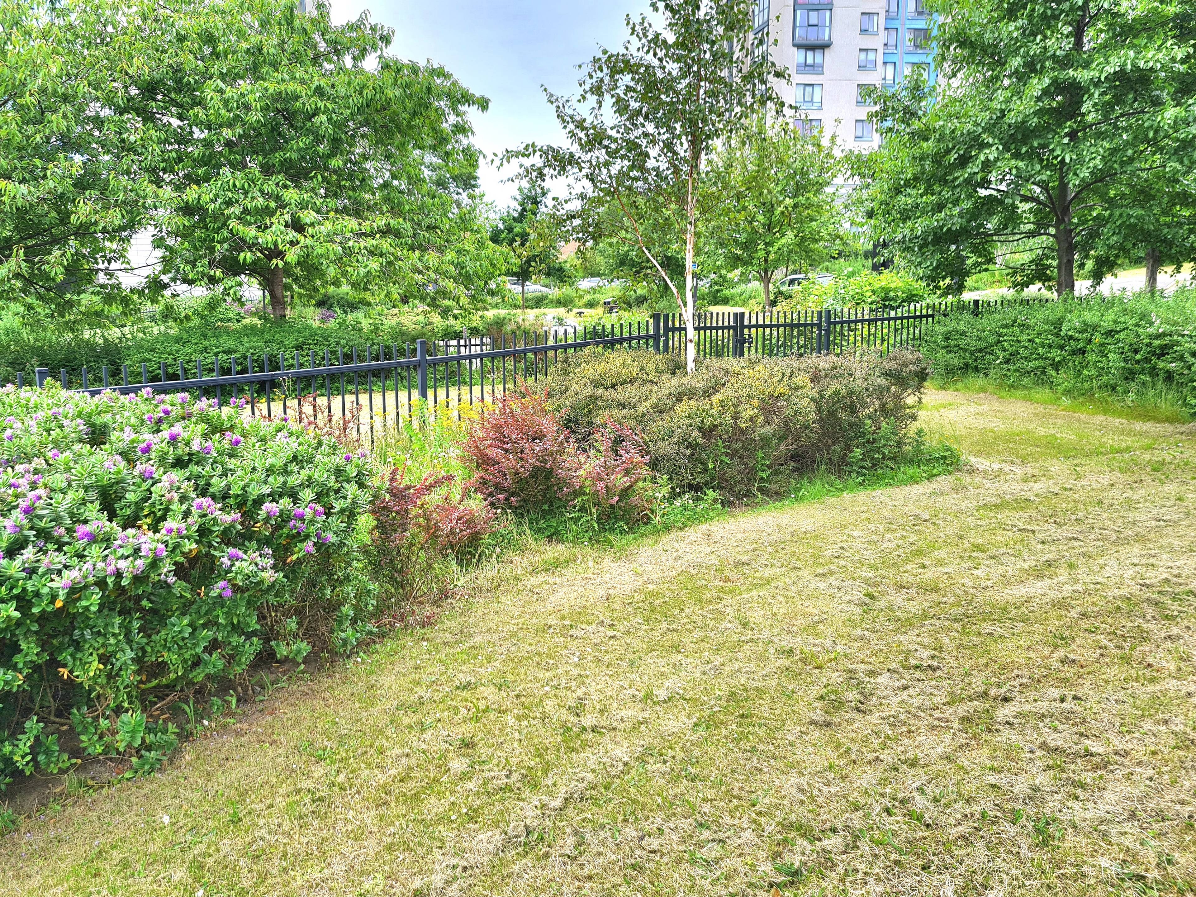 Communal Gardens