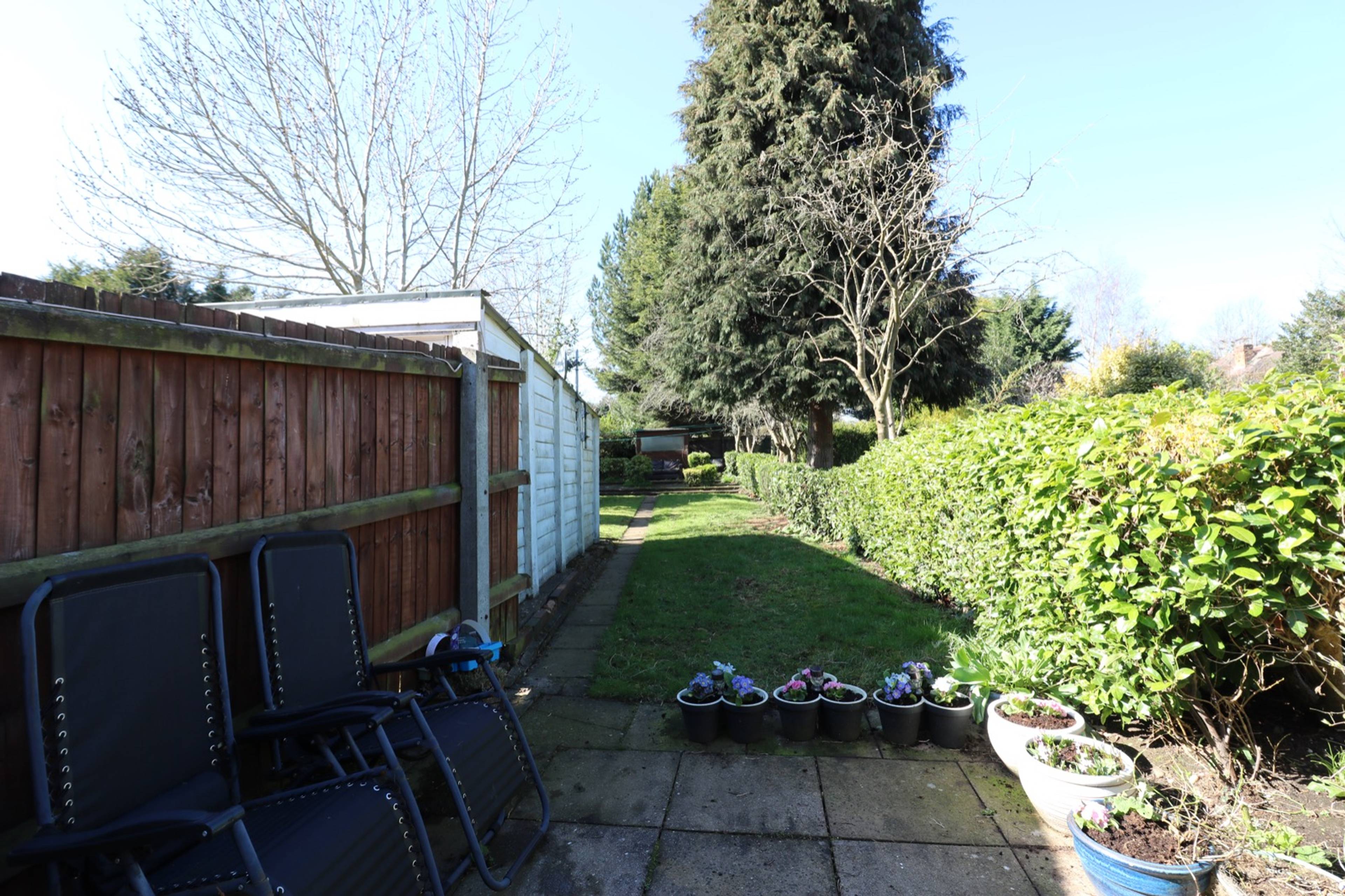 Garden 