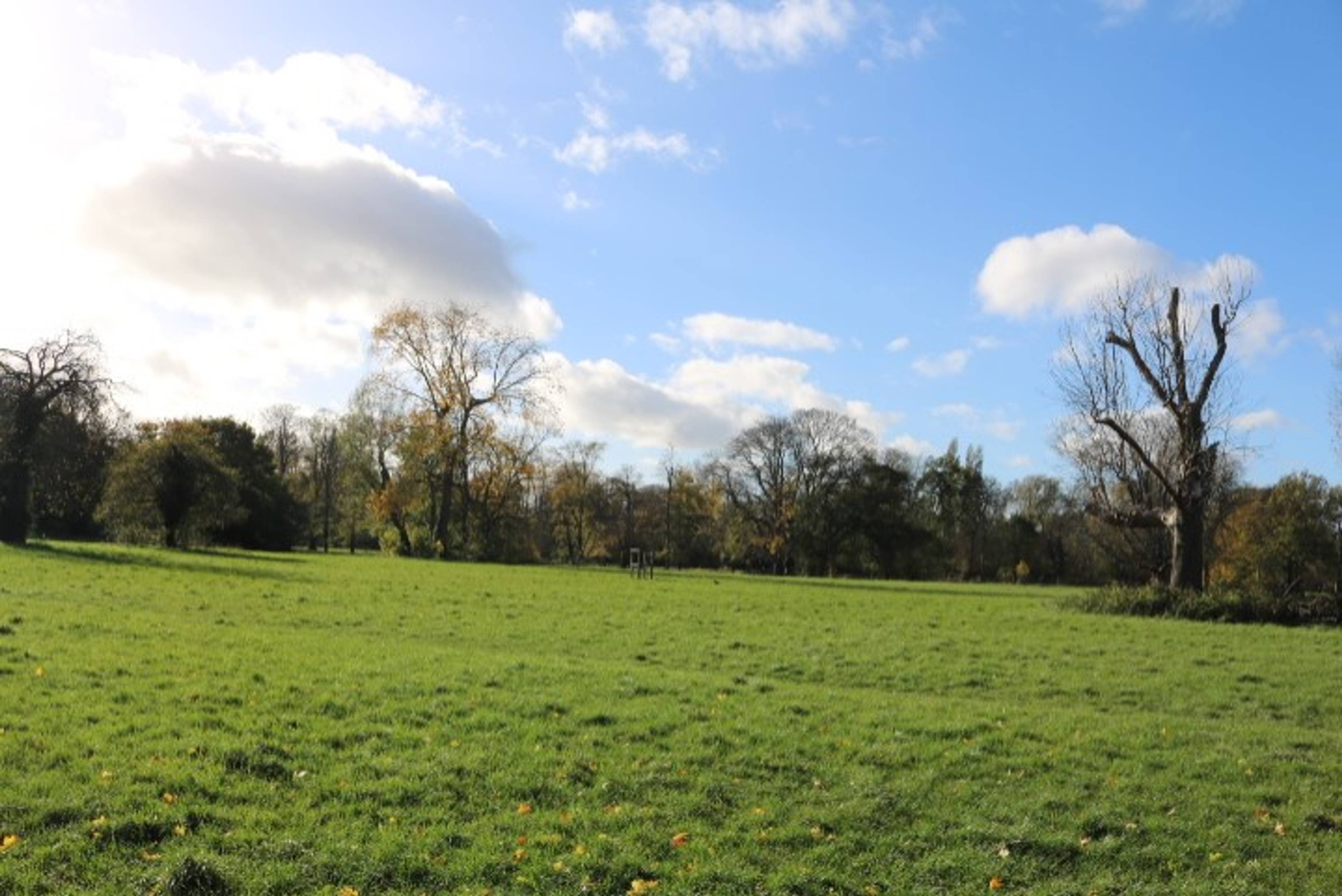Local Area