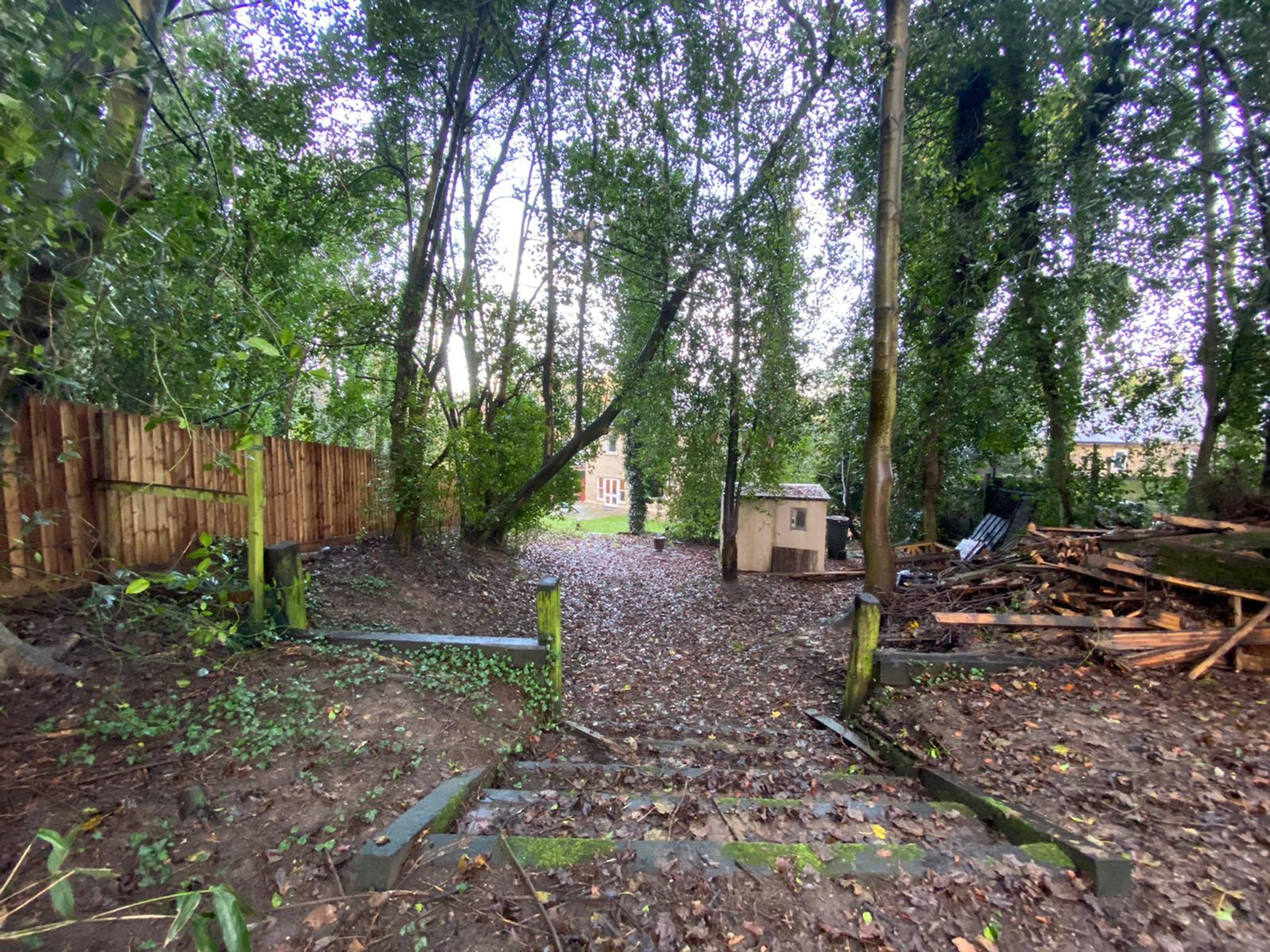 Woodland