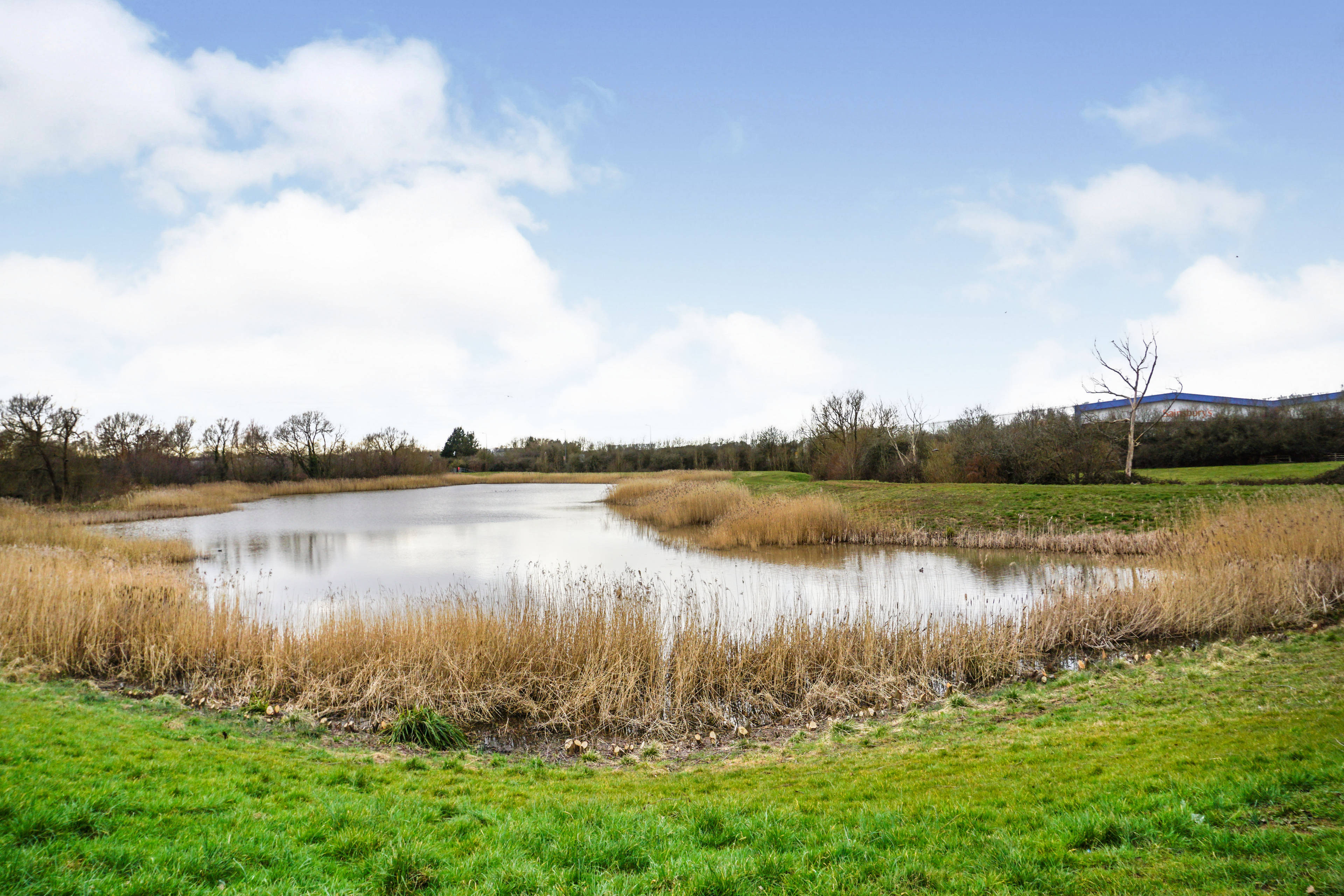 Surrounding Area