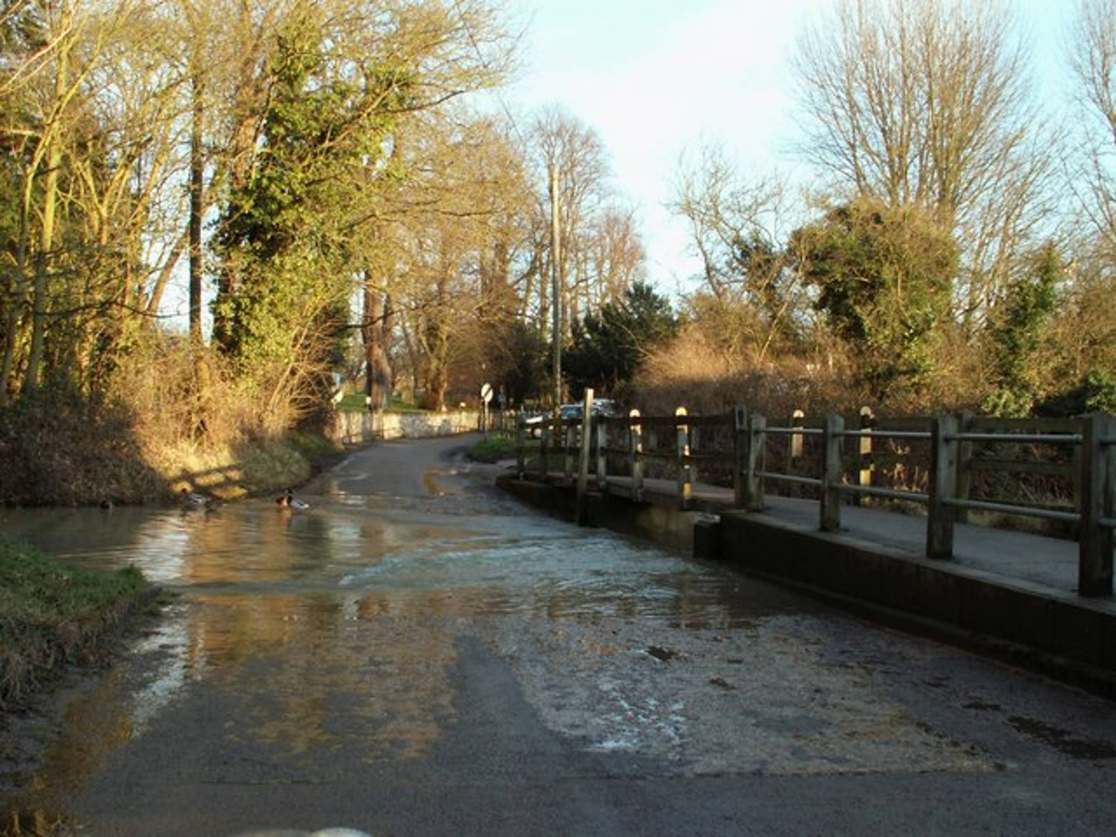 The Village