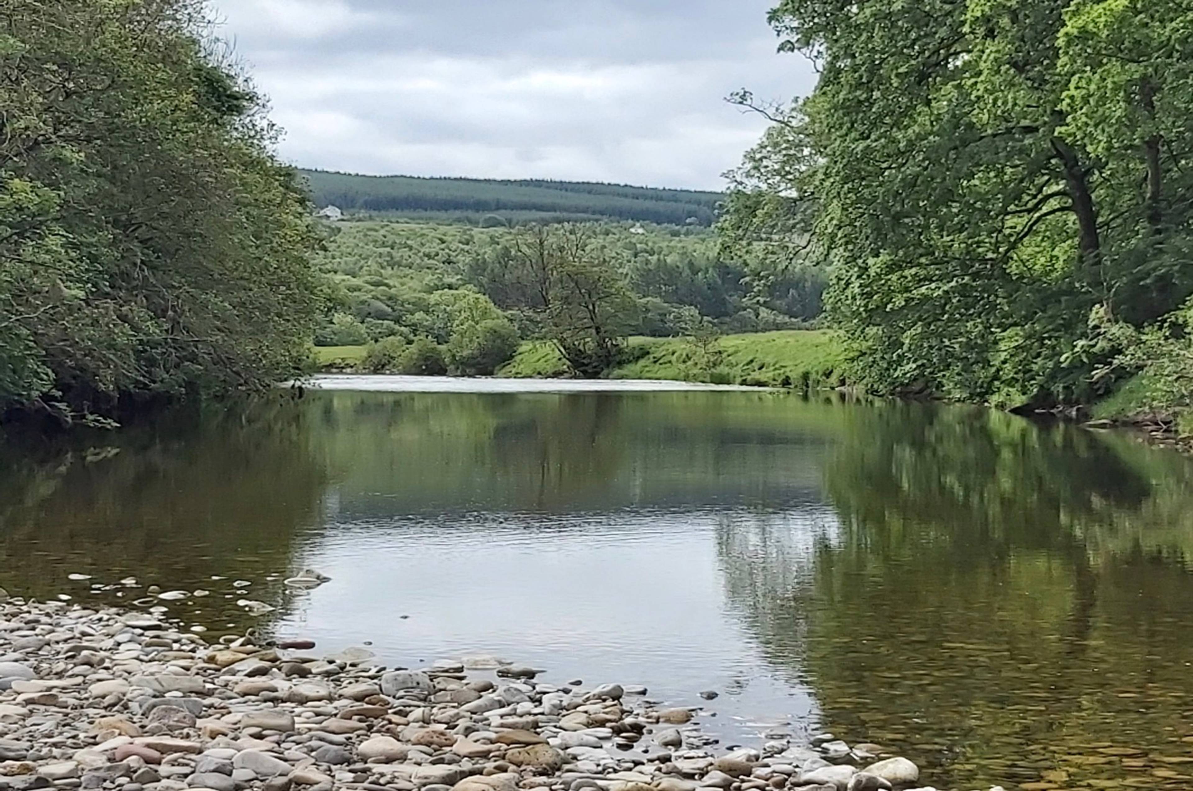 Nearby River