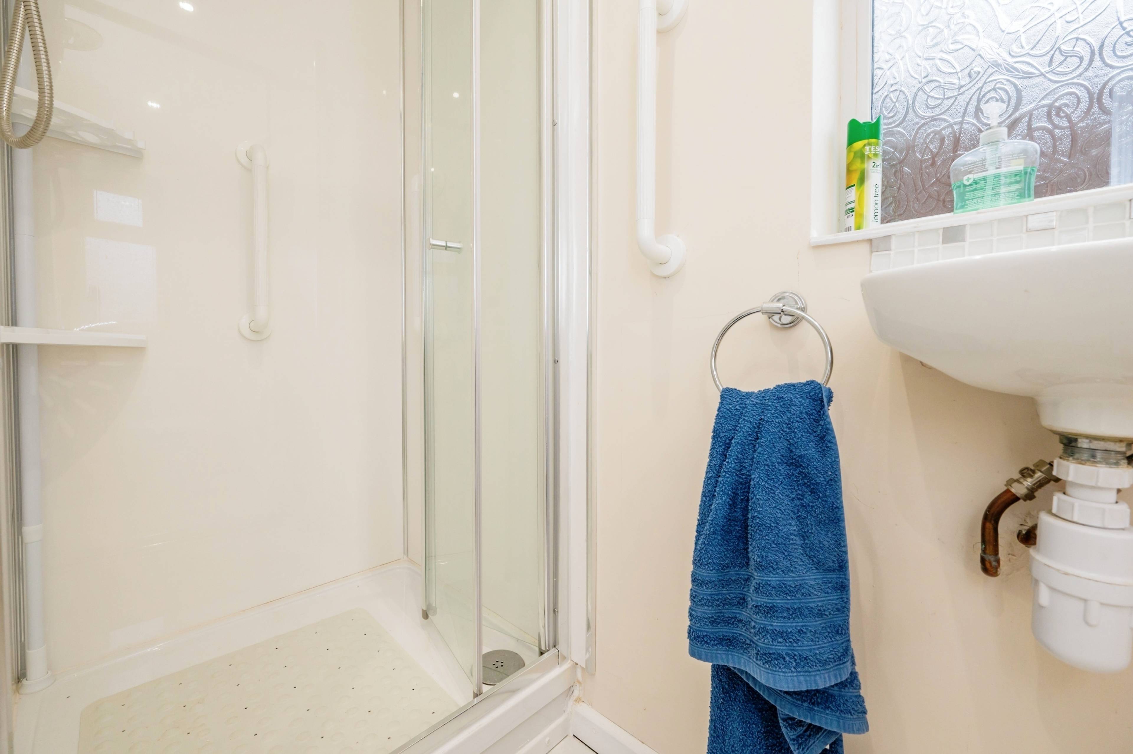 Downstairs Shower