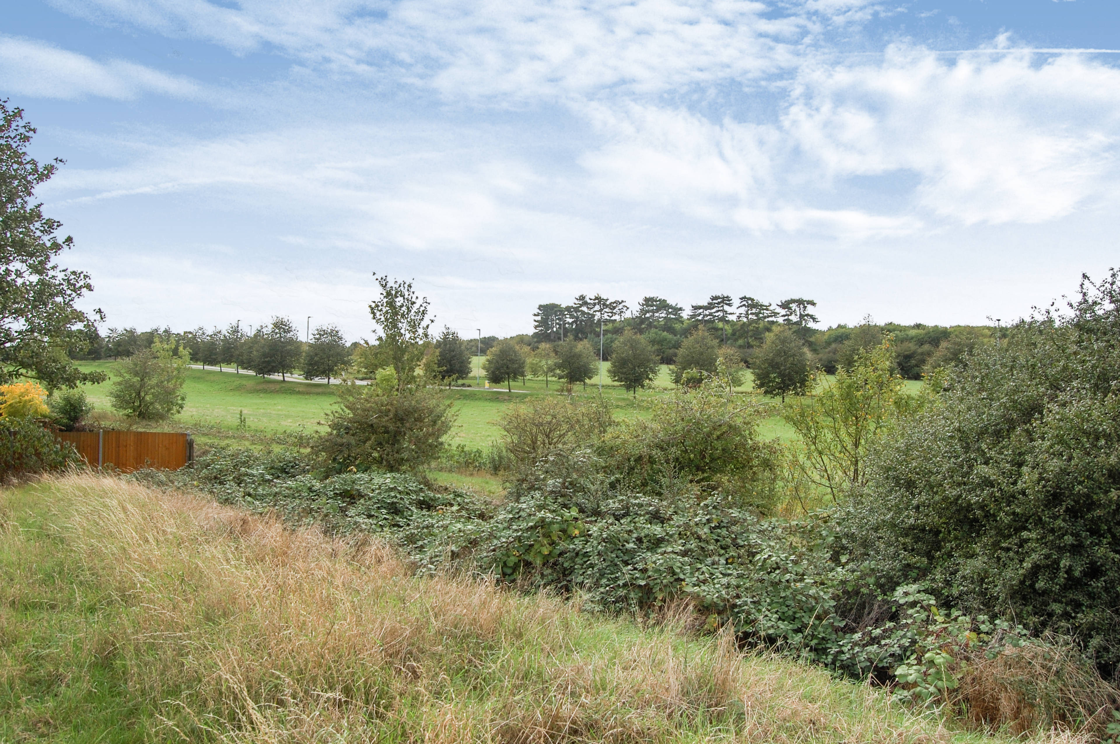 Surrounding Area