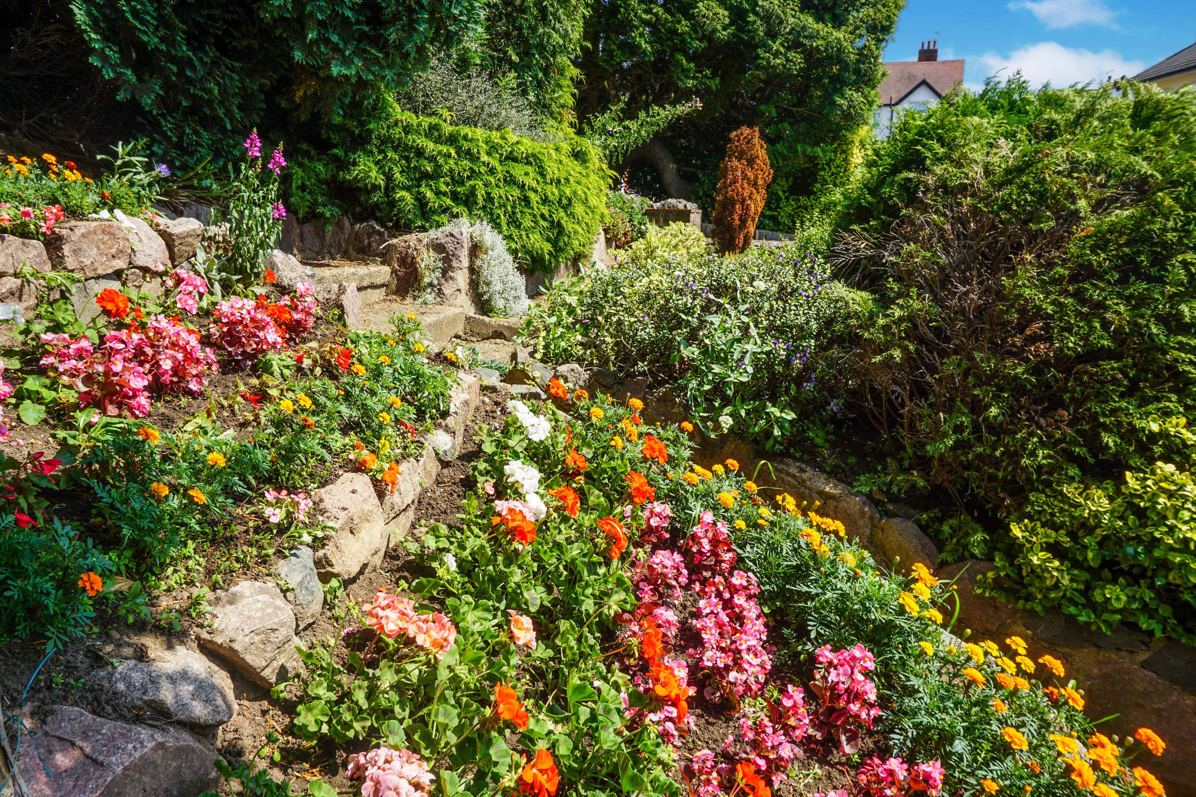 Front Garden