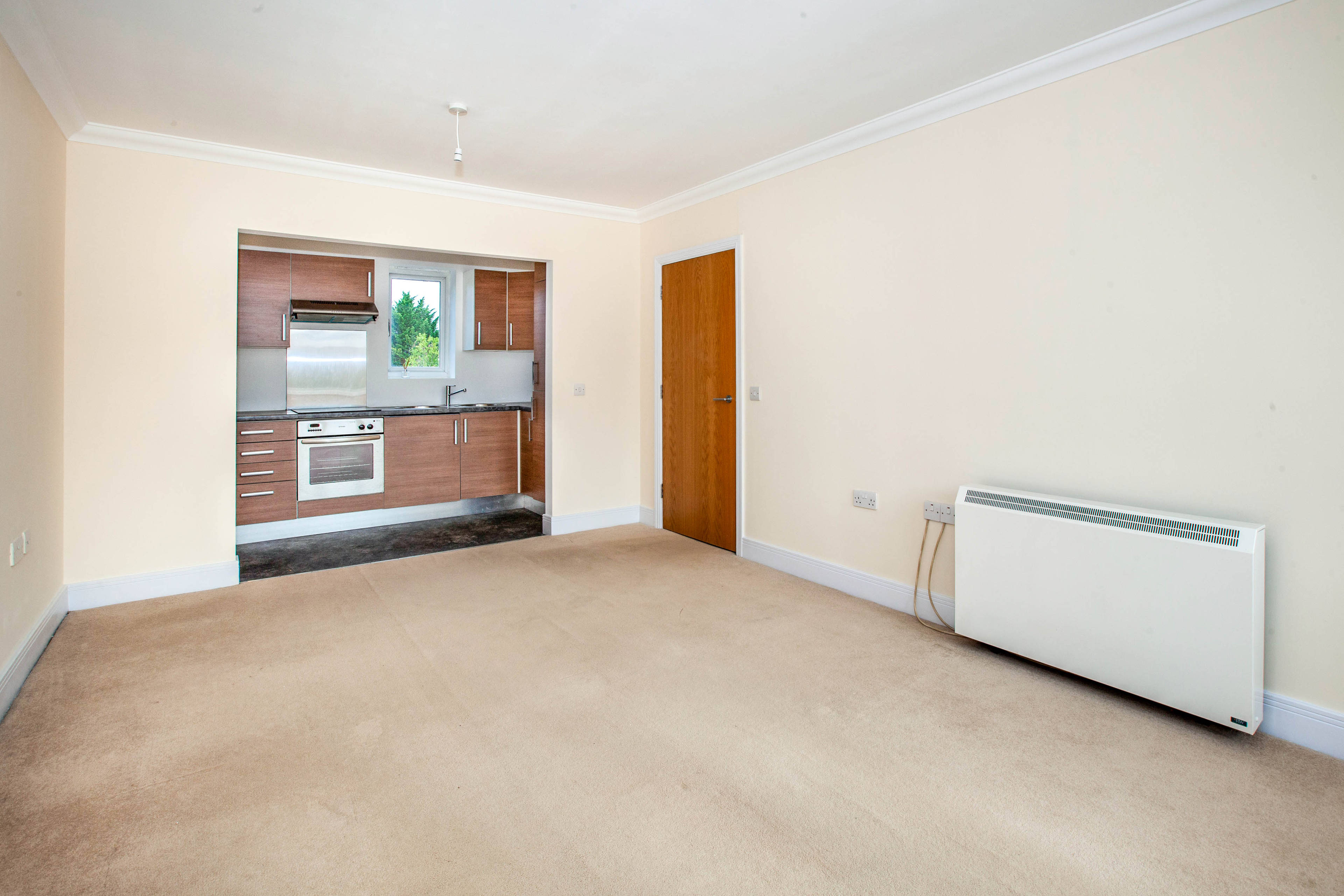 Lounge / Kitchen