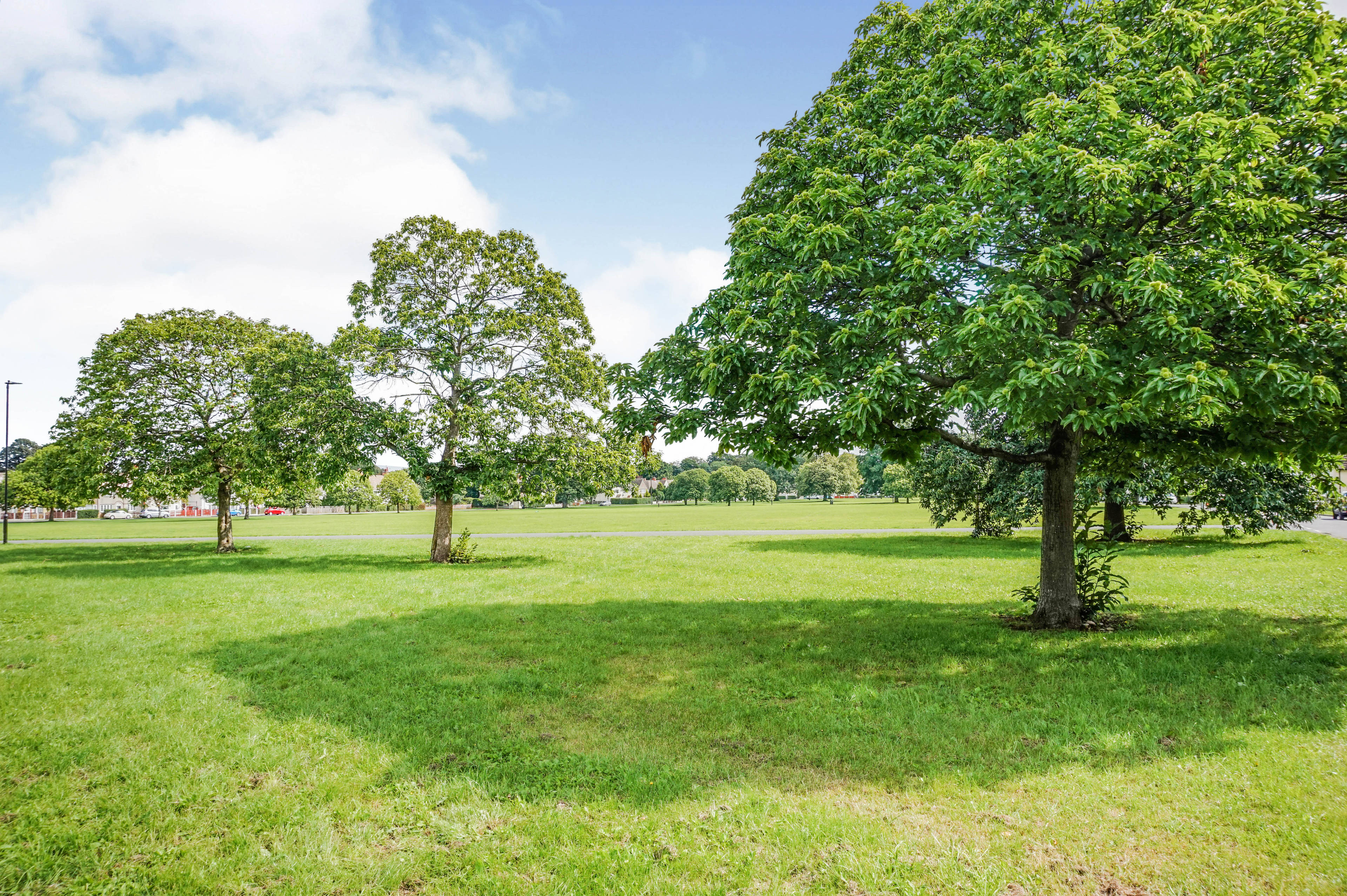 The Park