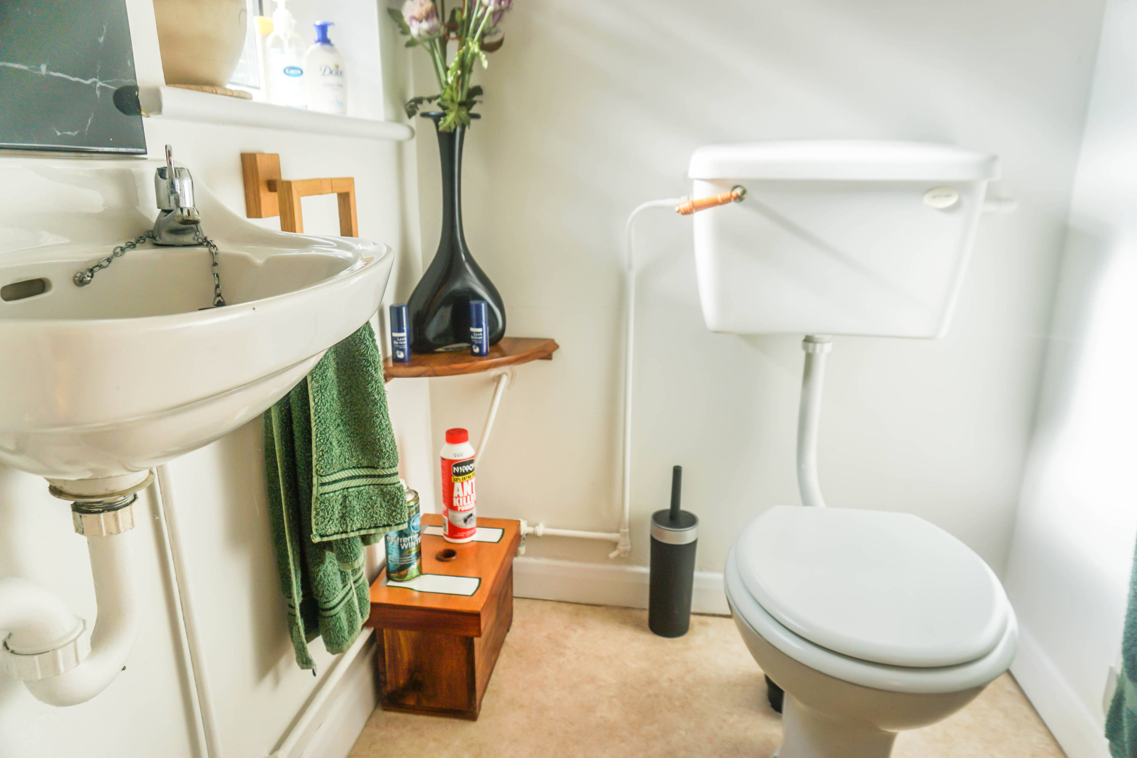 Downstairs Cloakroom