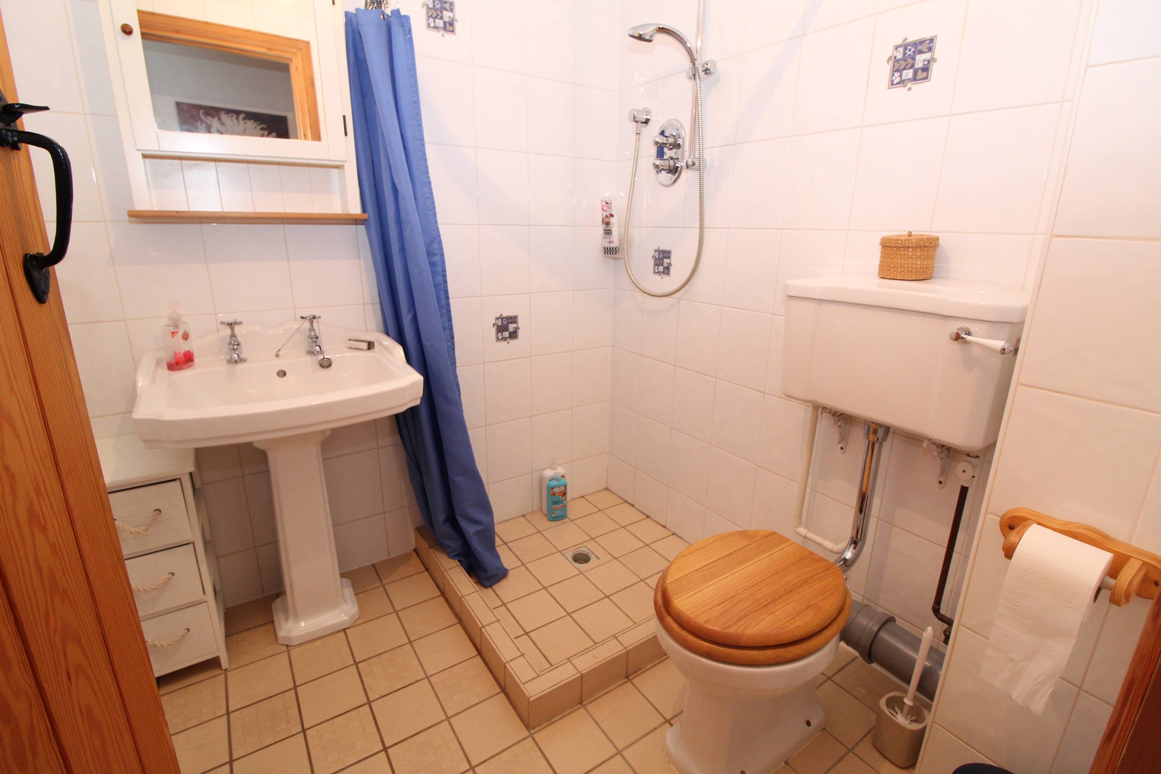Annexe Shower Room