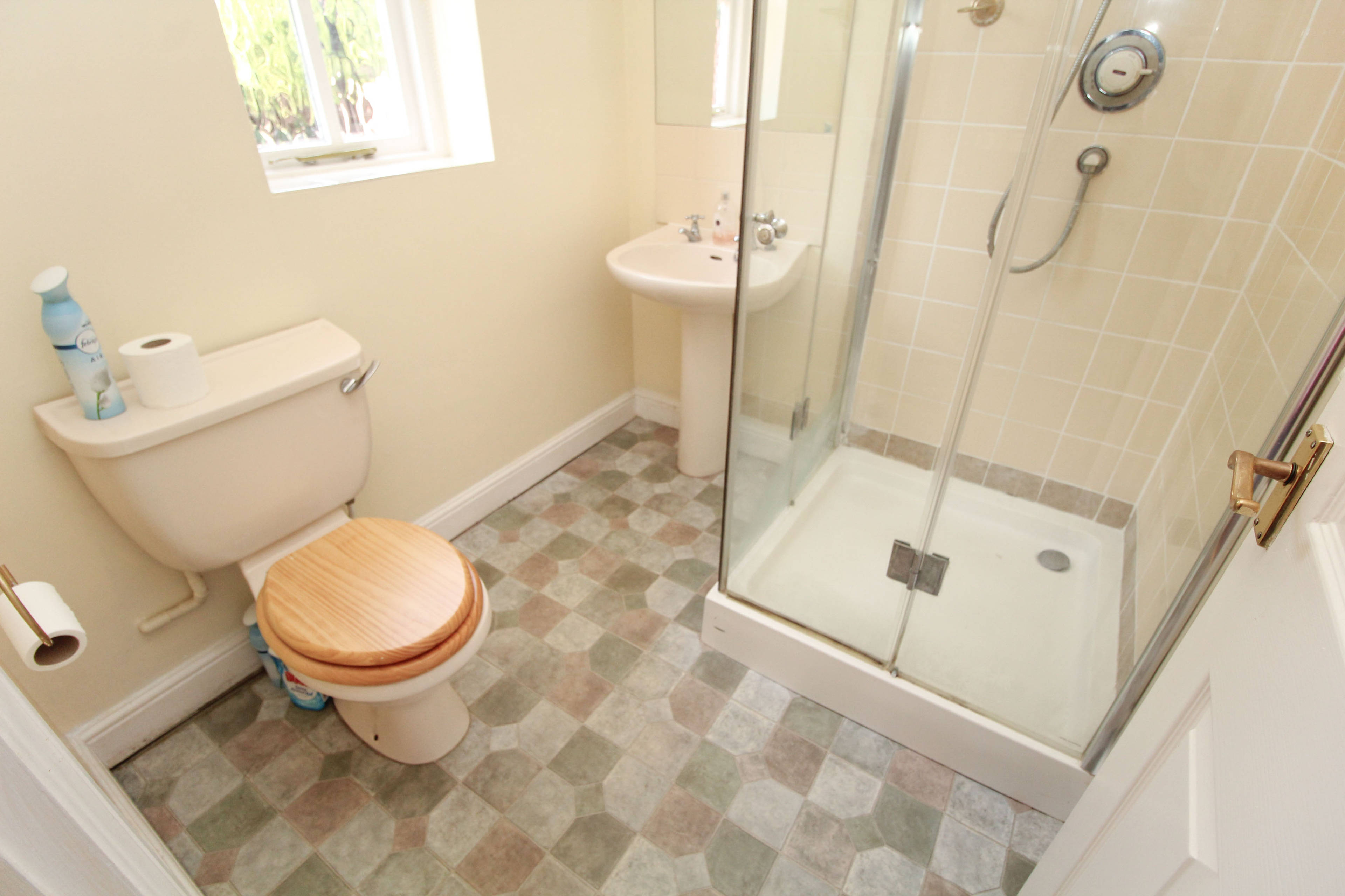 Downstairs Shower