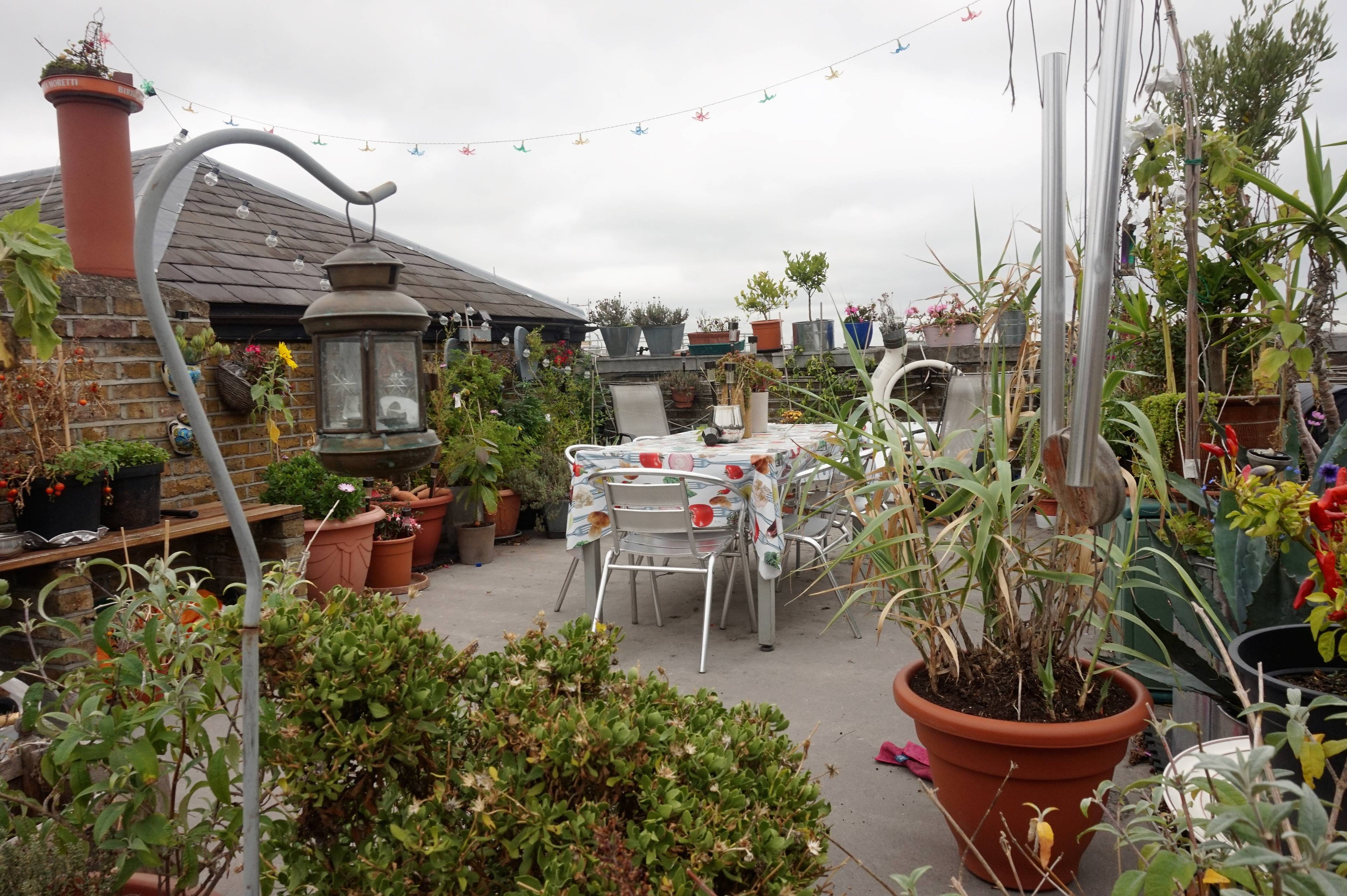 Roof Terrace