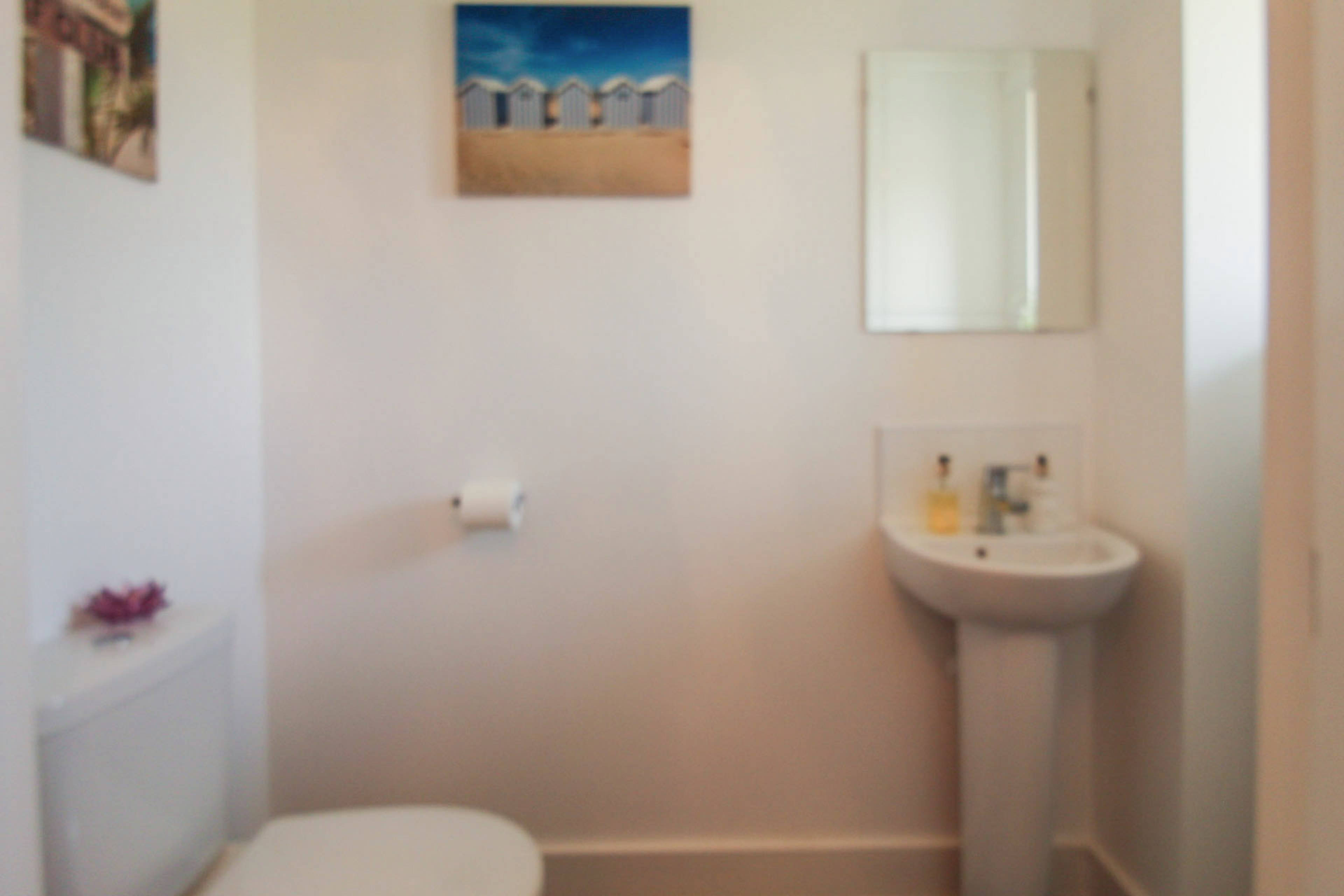 Downstairs Cloakroom
