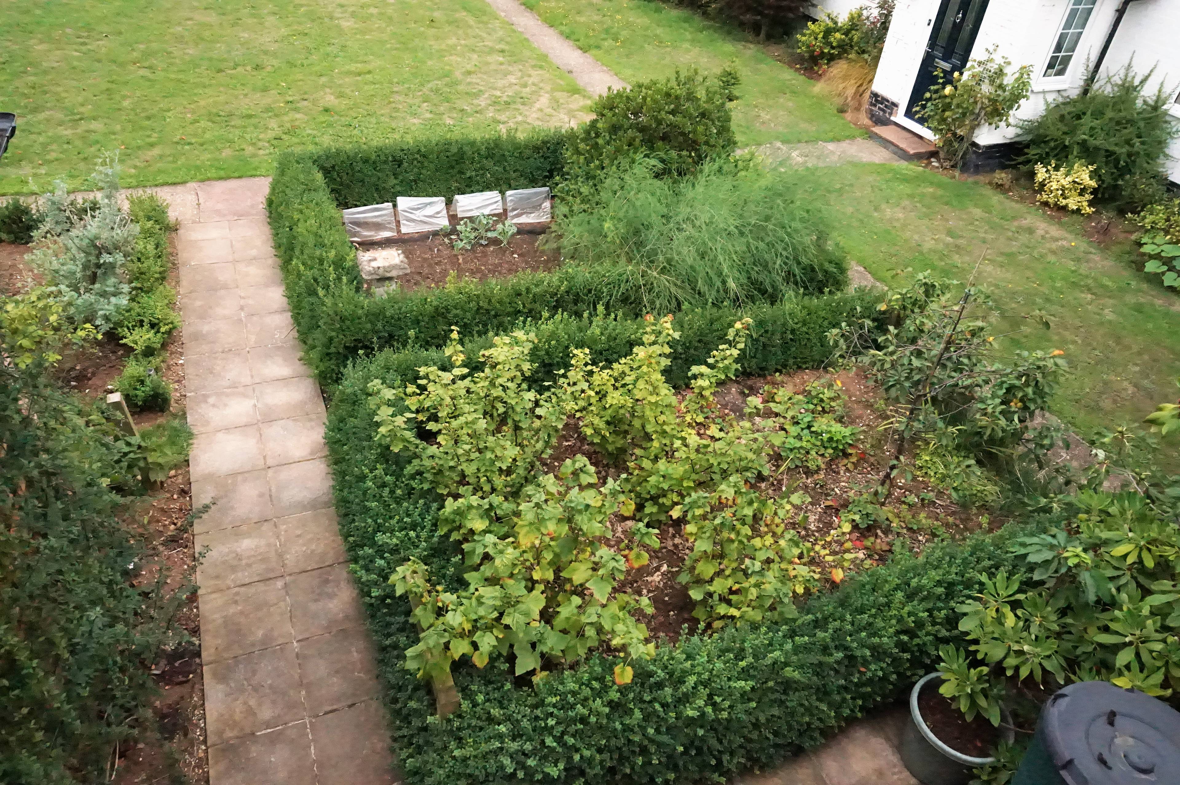 Side Garden