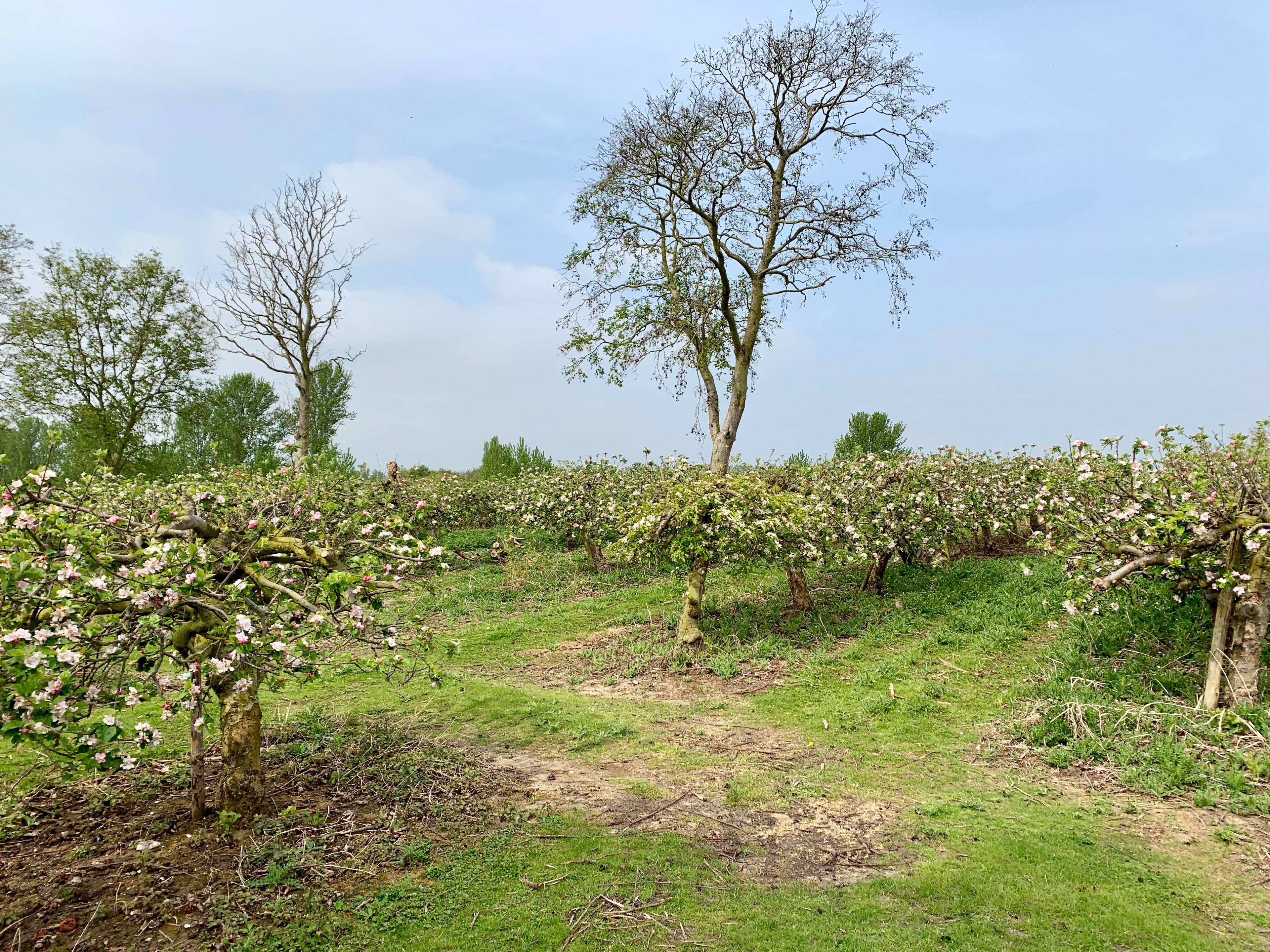 Surrounding Area