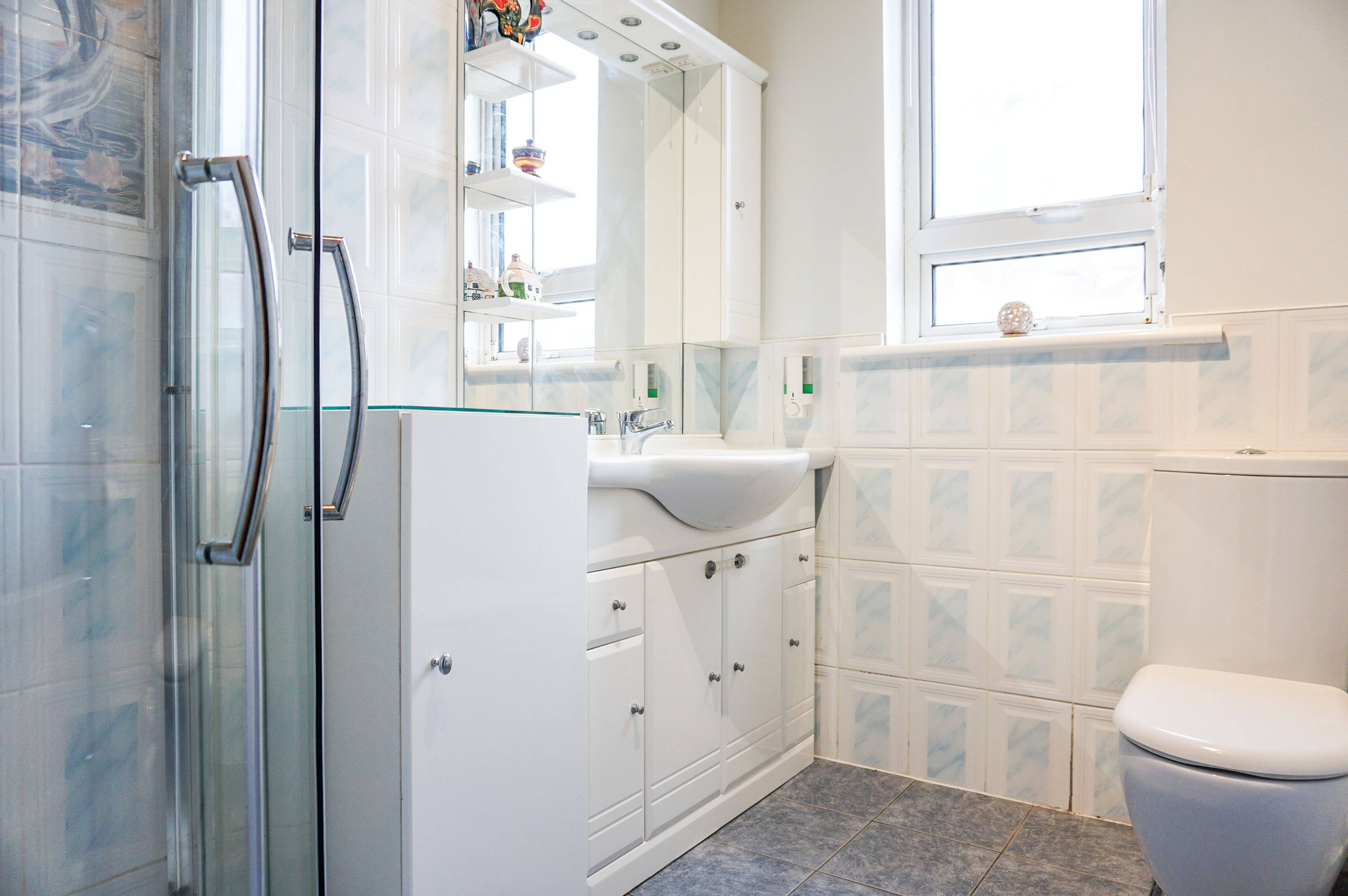Downstairs Shower