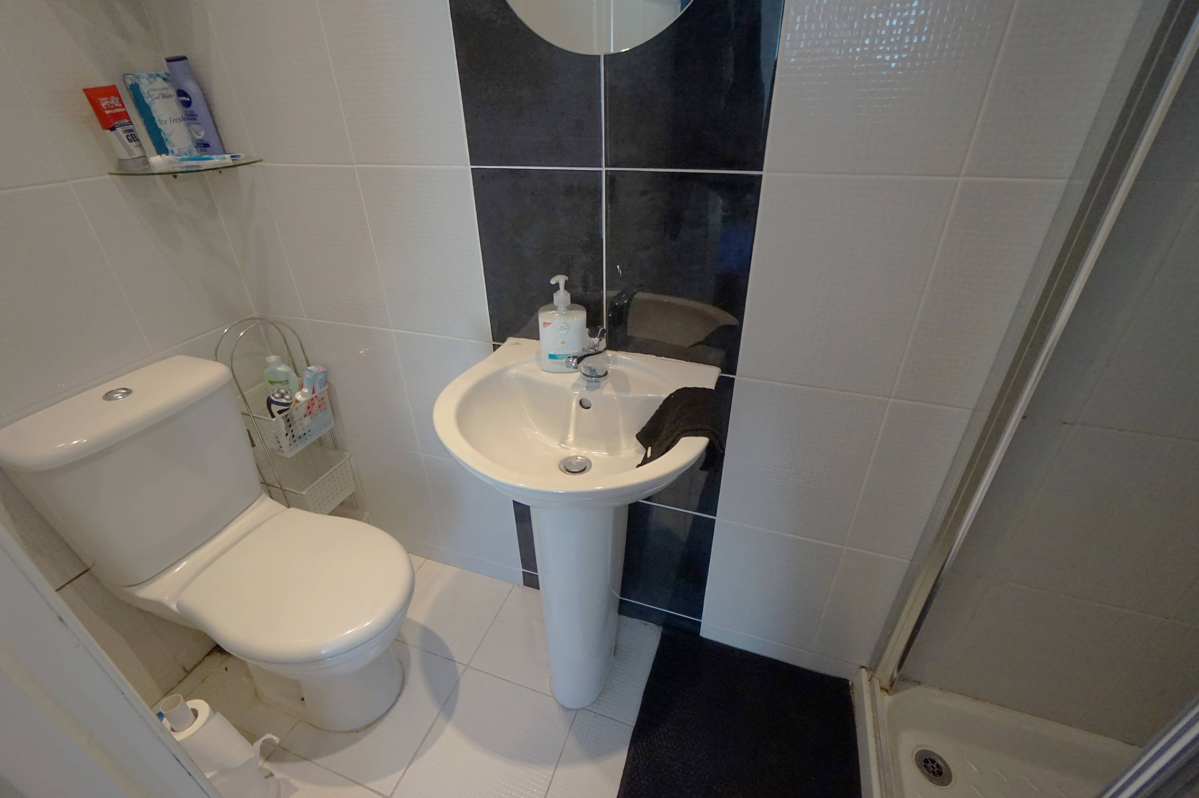 Annexe Shower Room
