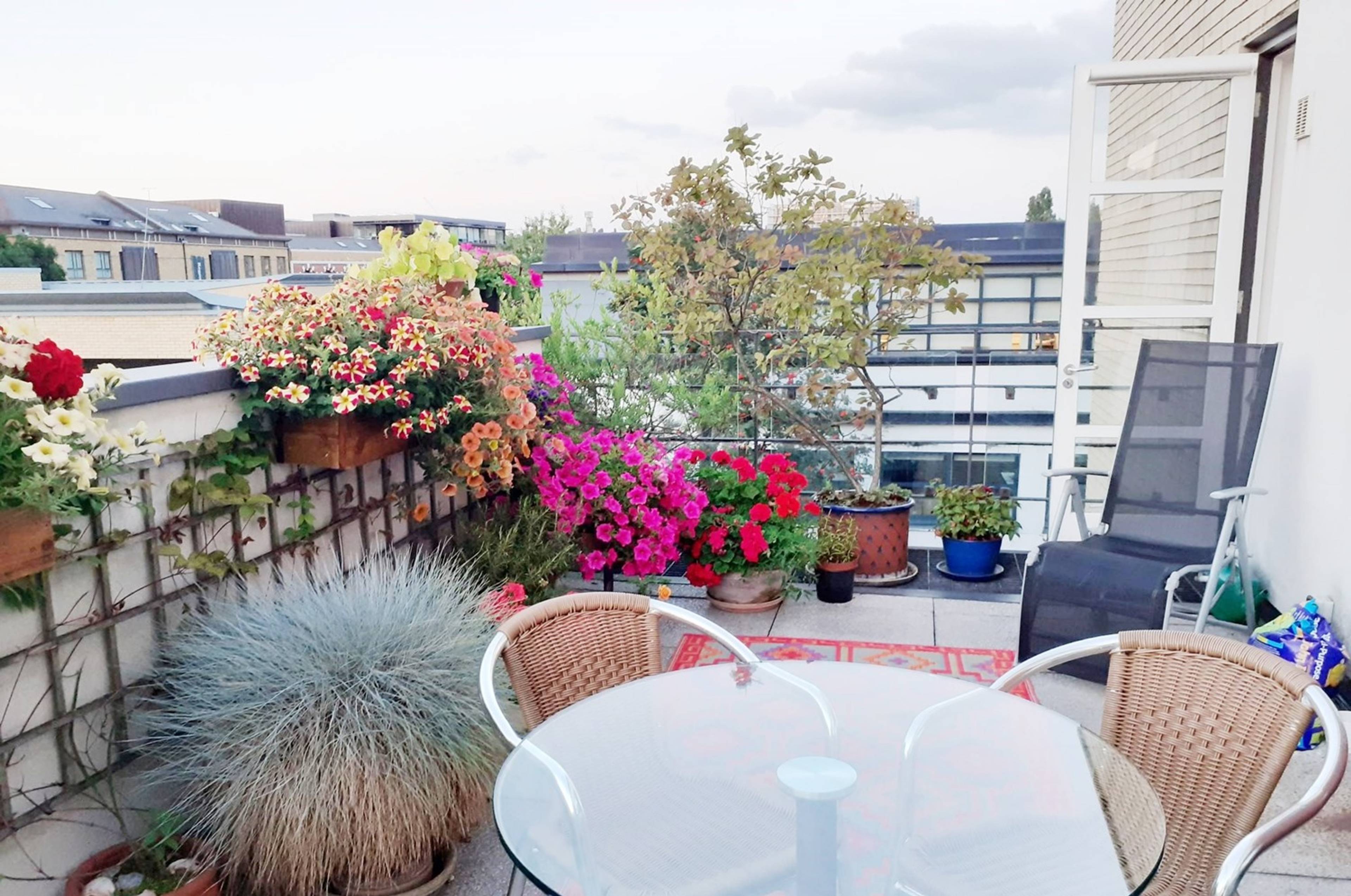 Roof Terrace