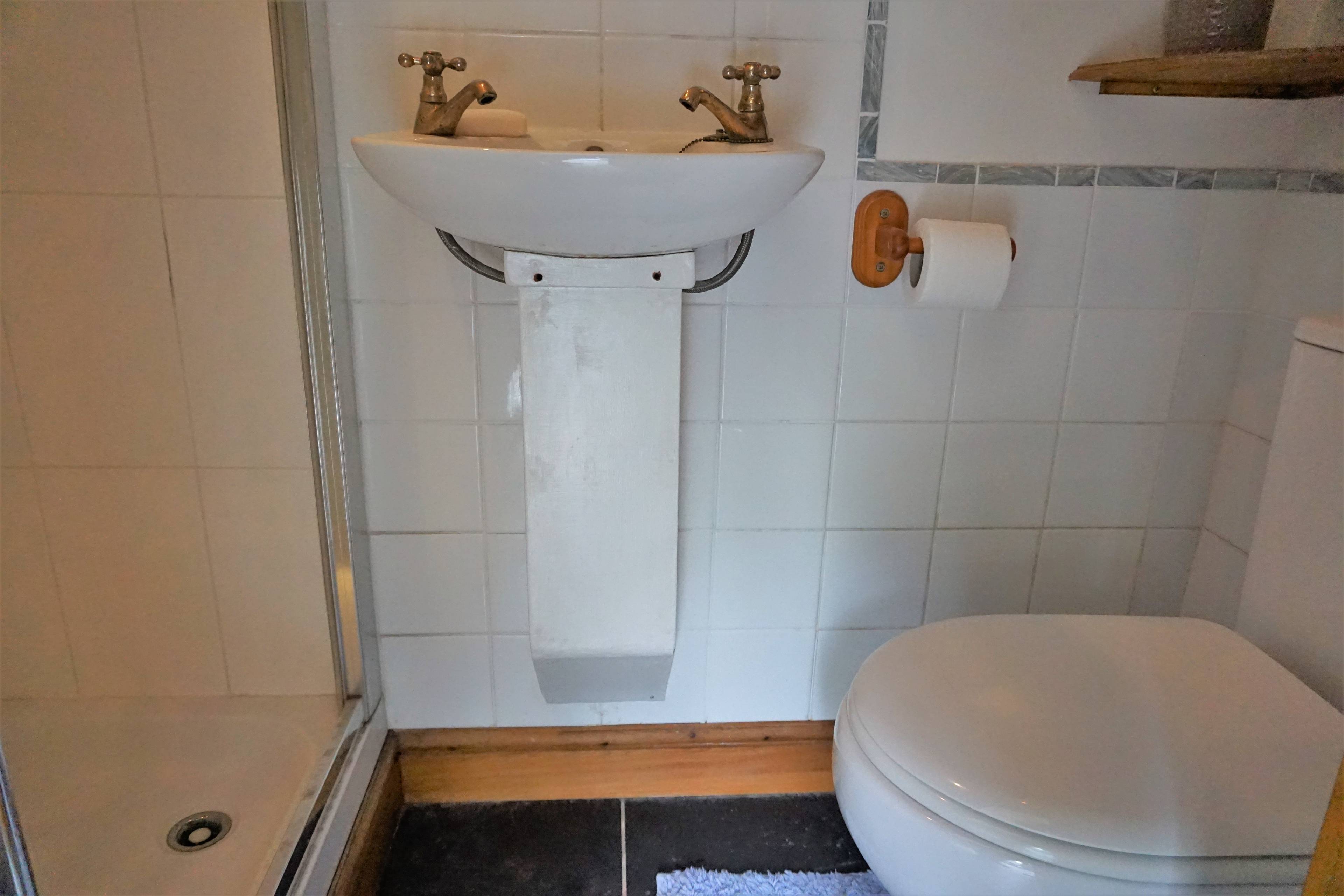 Downstairs Shower