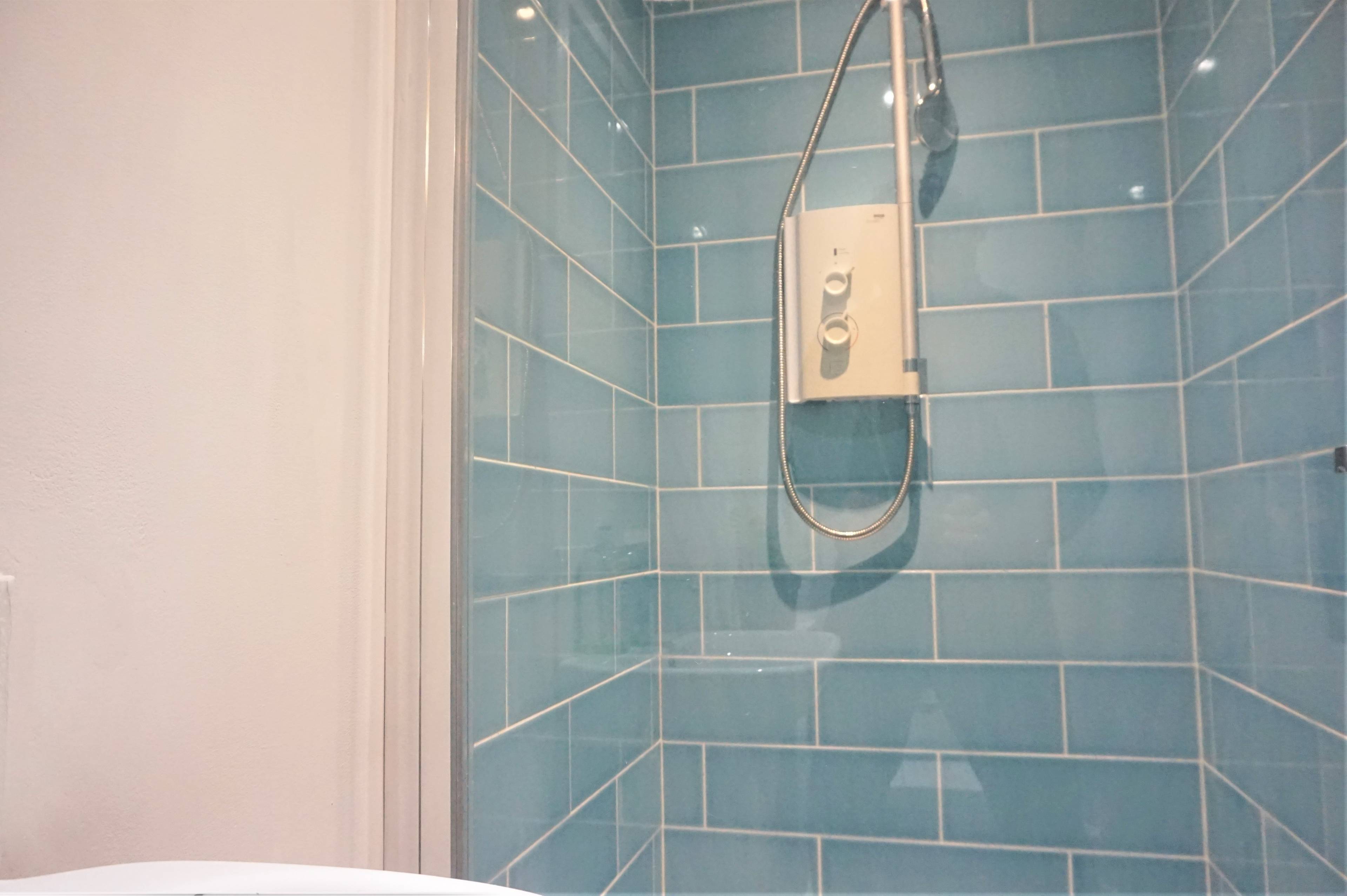 Downstairs Shower
