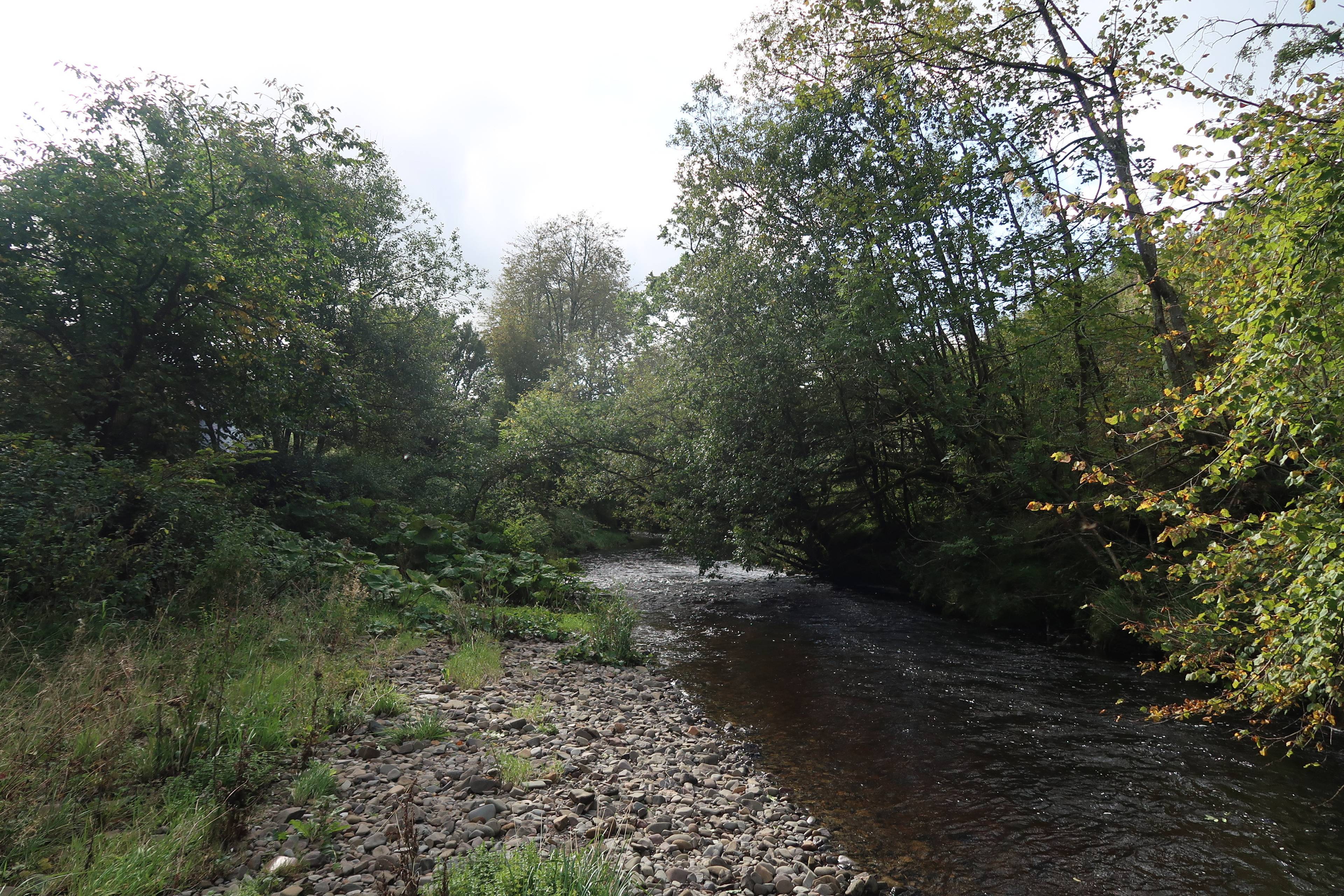 Nearby River