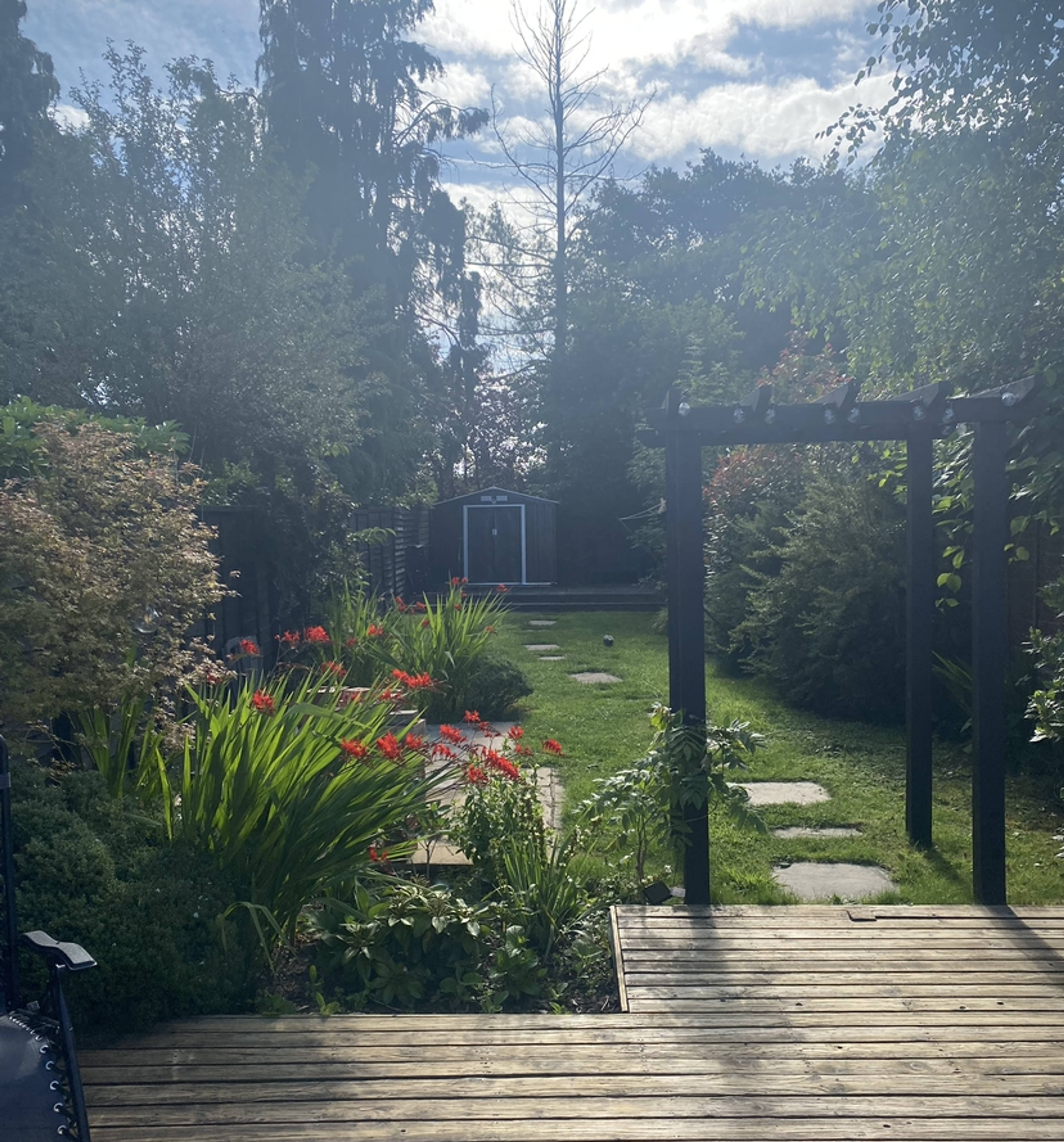 Mature Garden