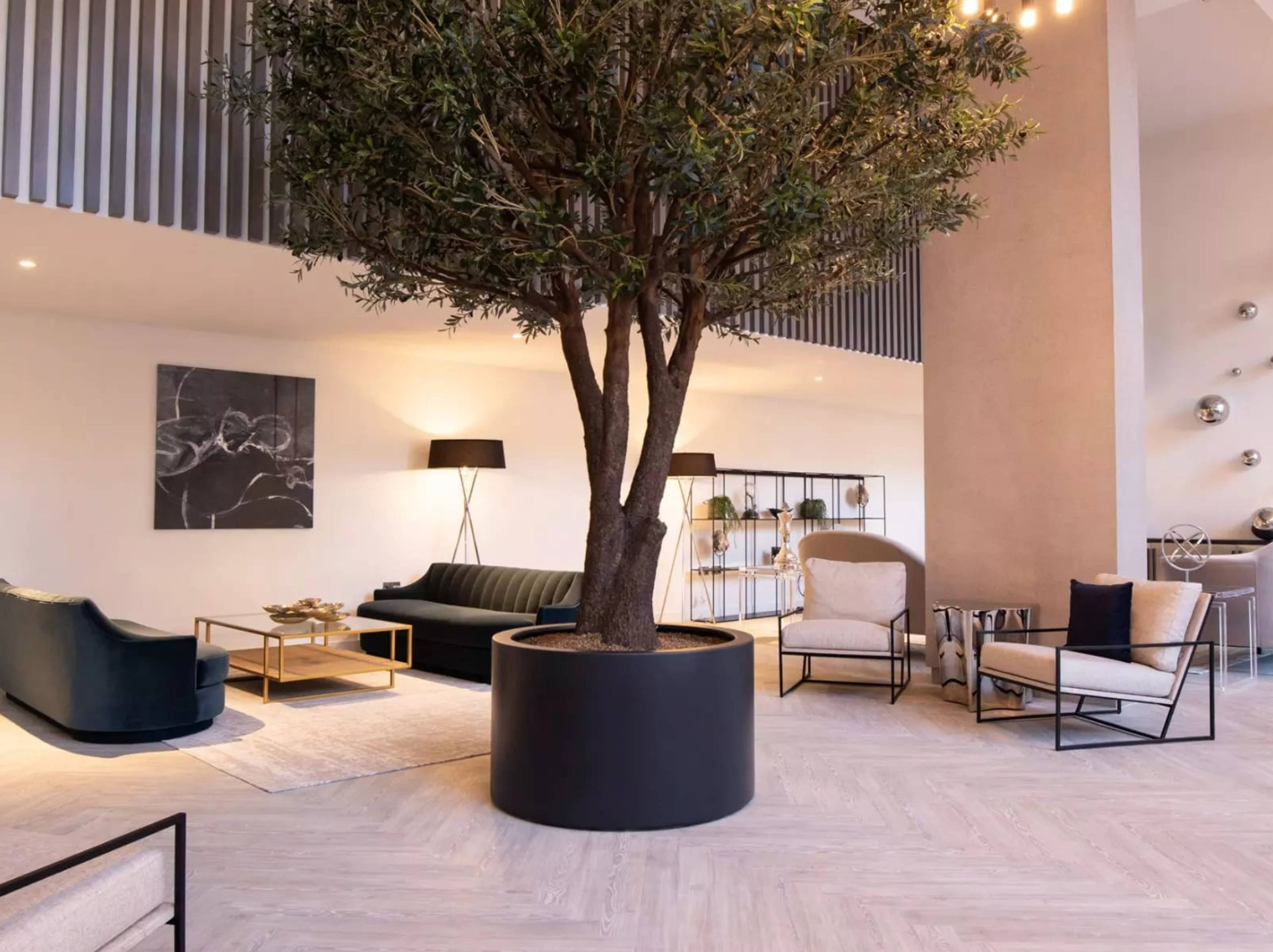 Communal Lounge